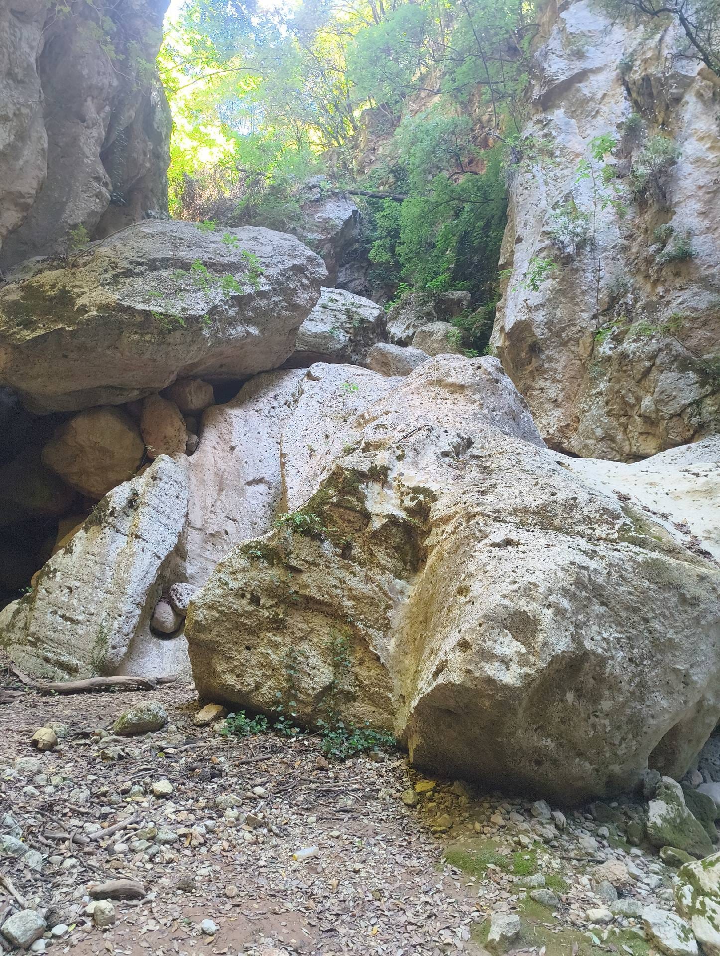 Día 5. Albania: Gijipese Canyon