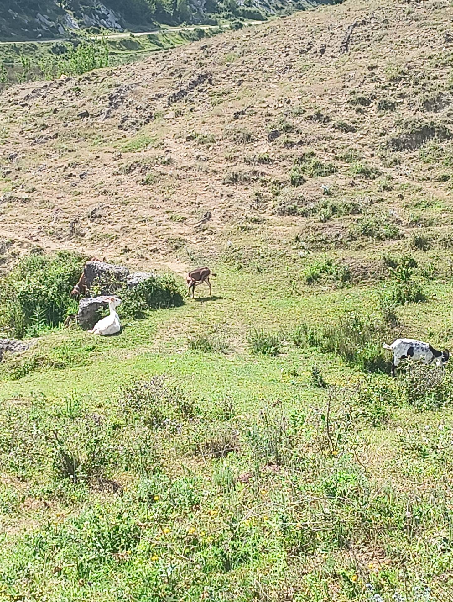 Día 1. Albania: Kruja -> Gramsh