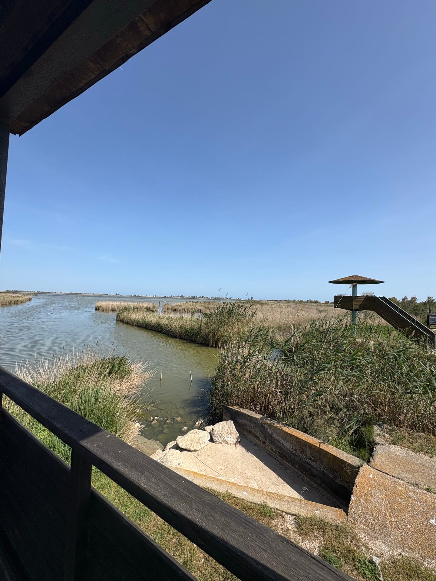 Ruta per el Delta, foten país!
