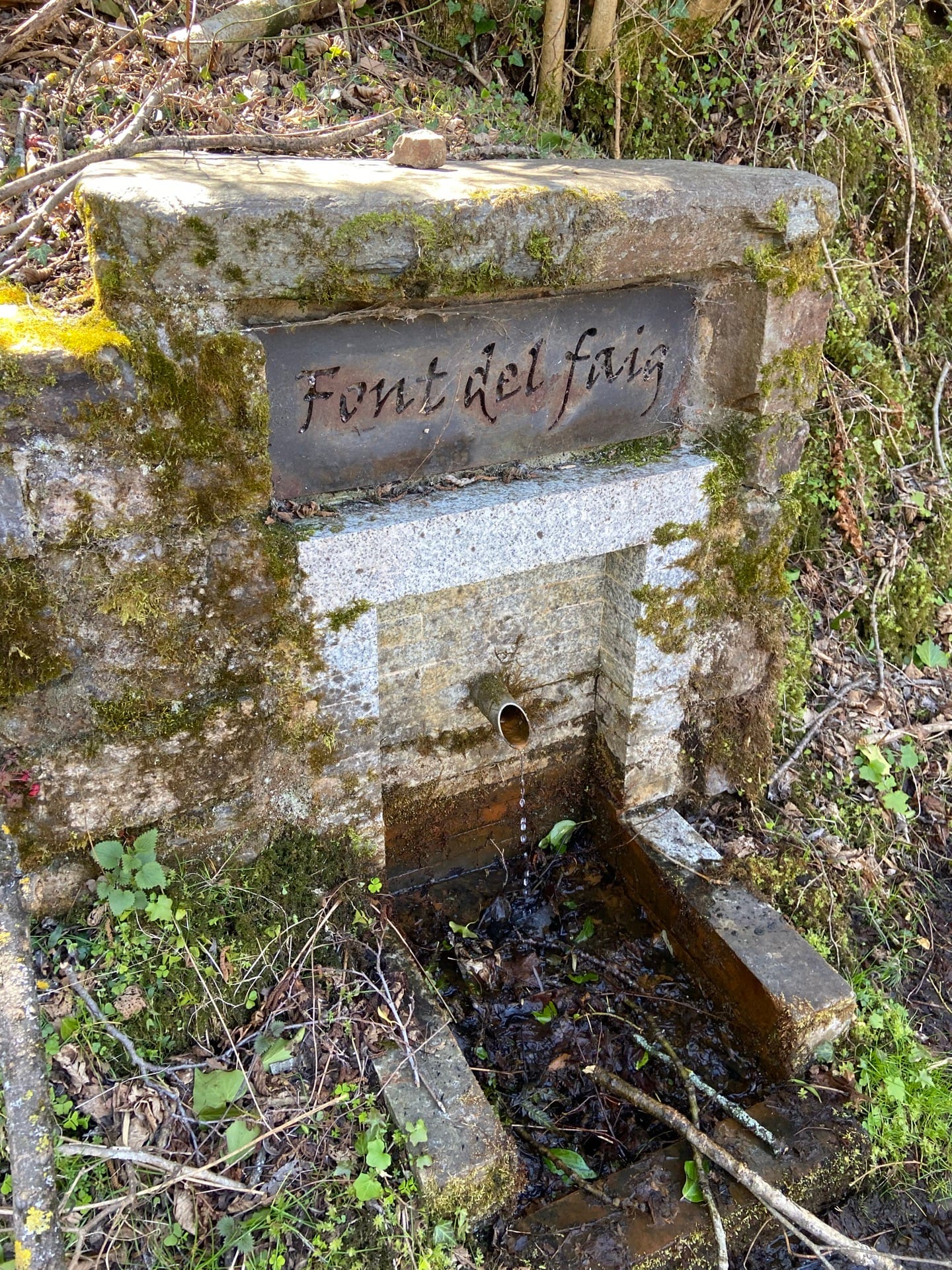 Font del Faig