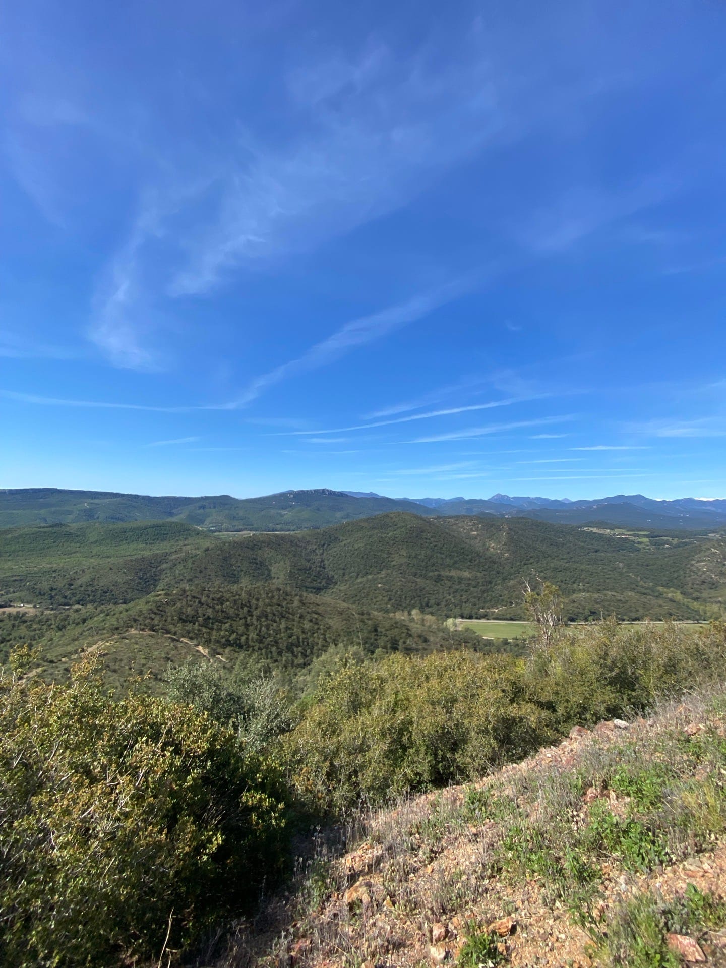 Castell de mont-roig