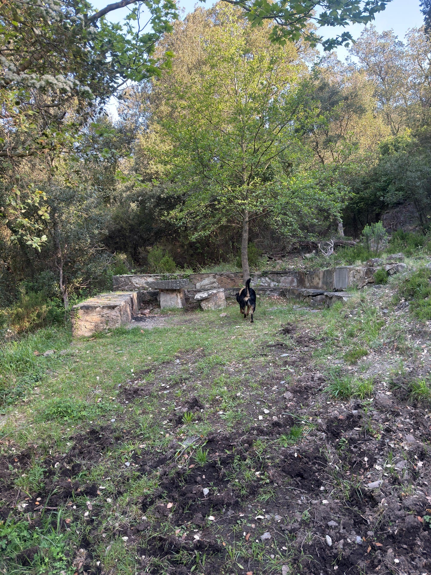 Font del solanà 1907