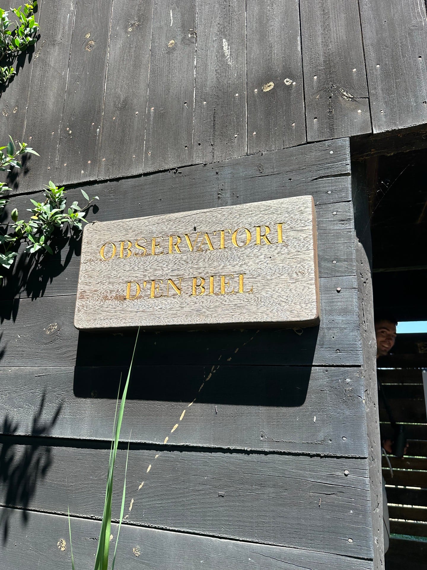 Observatori d’en Biel