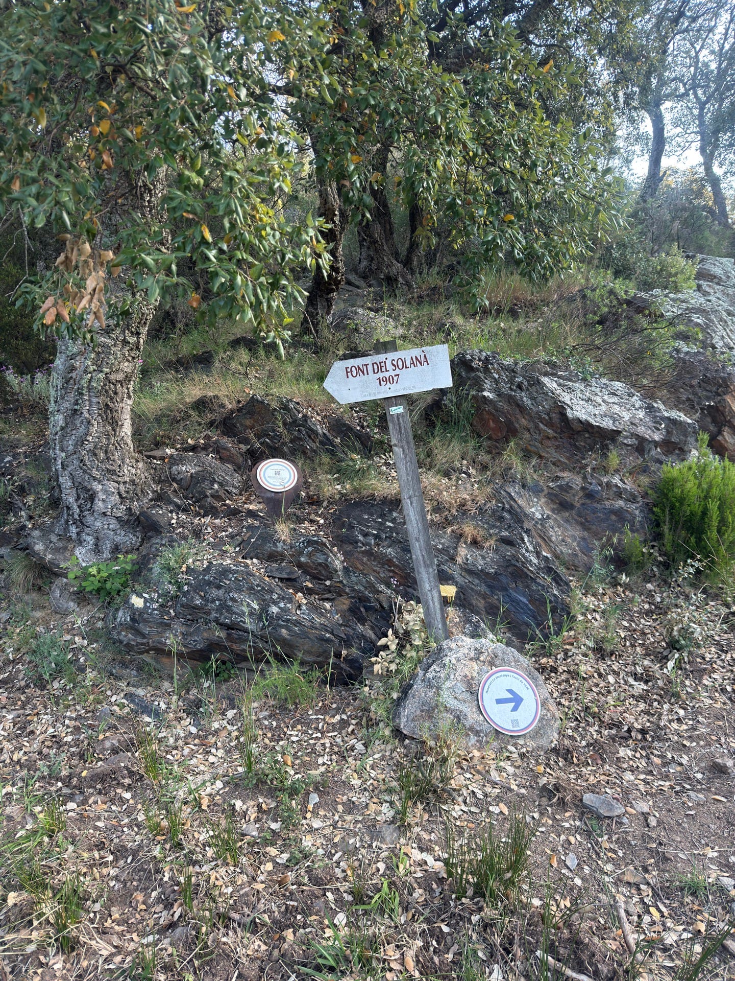 Font del solanà 1907