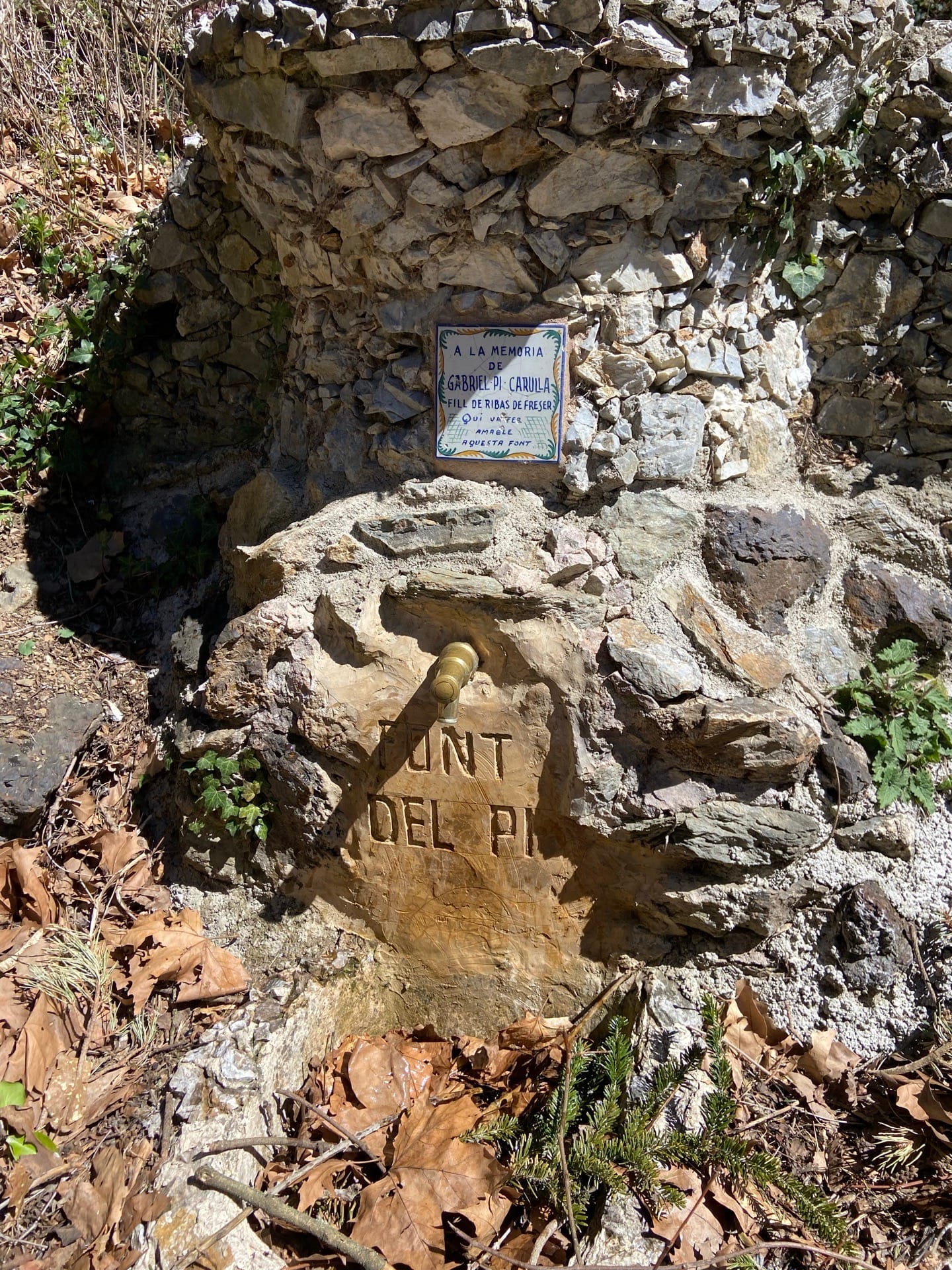 font del pi