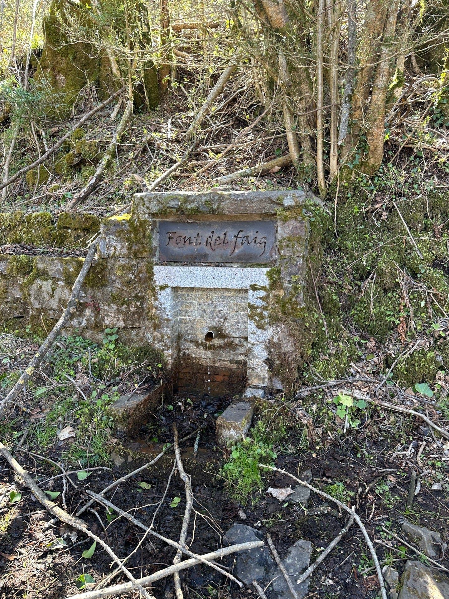 Font del Faig