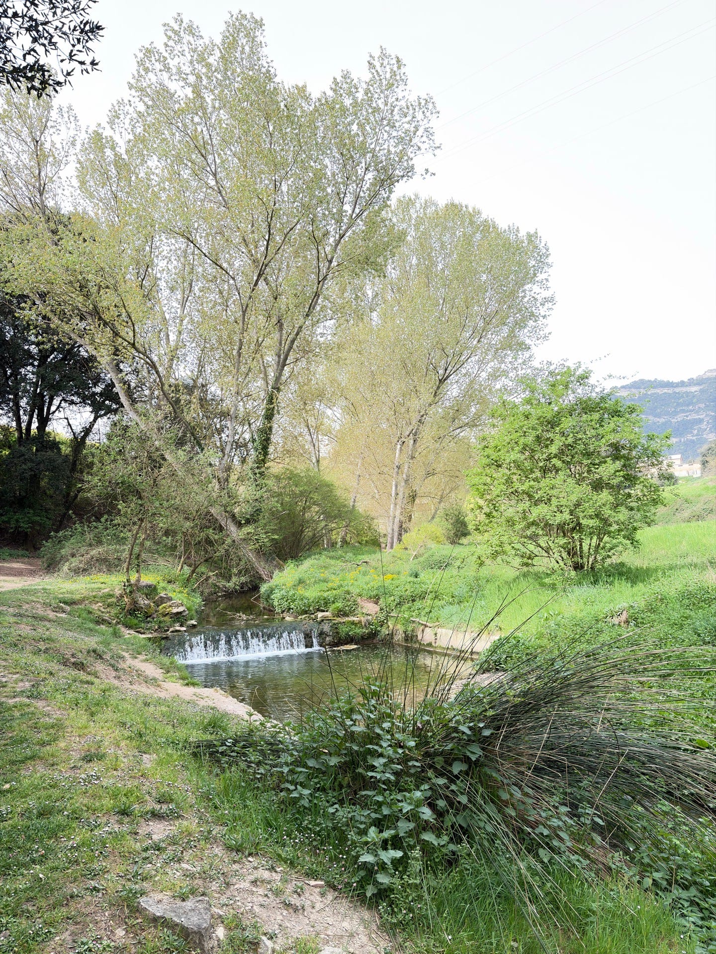 Font del Rossell