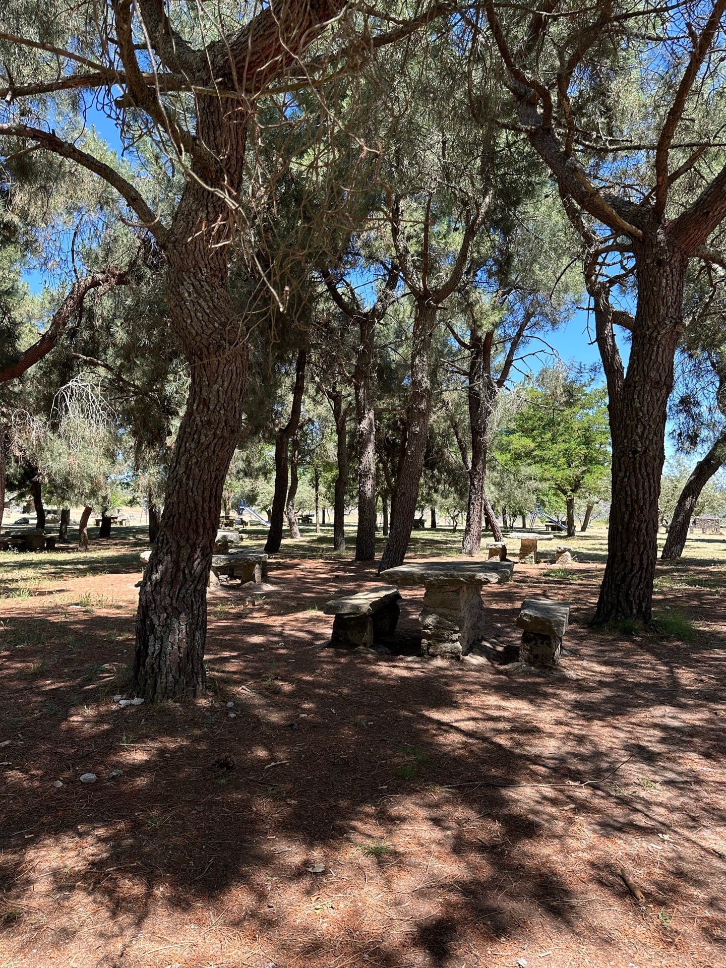 Zona picnic miradores