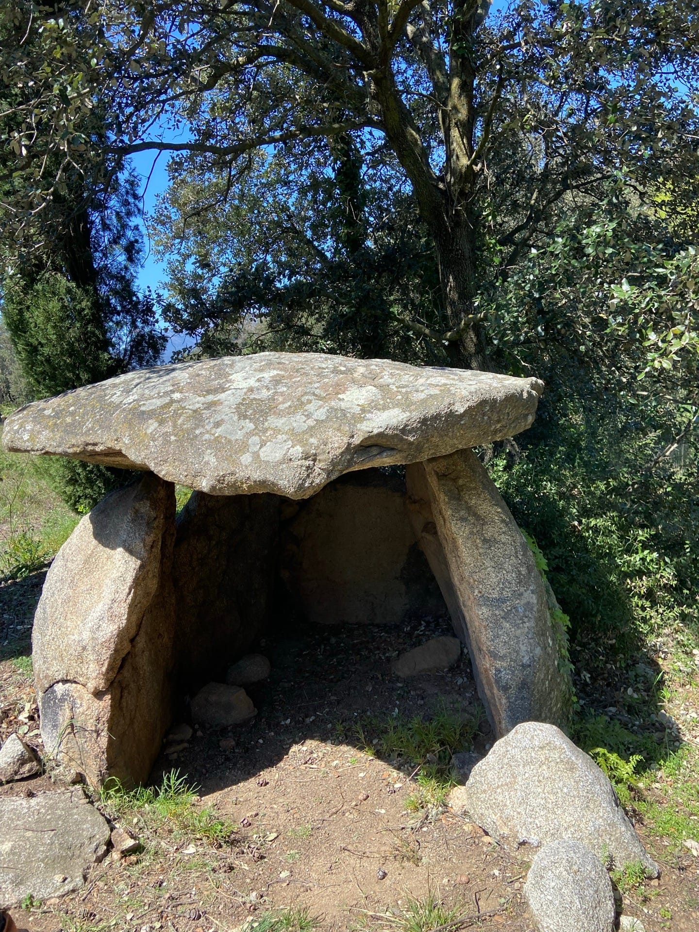 Dolmen de Mas Puig de Caneres
