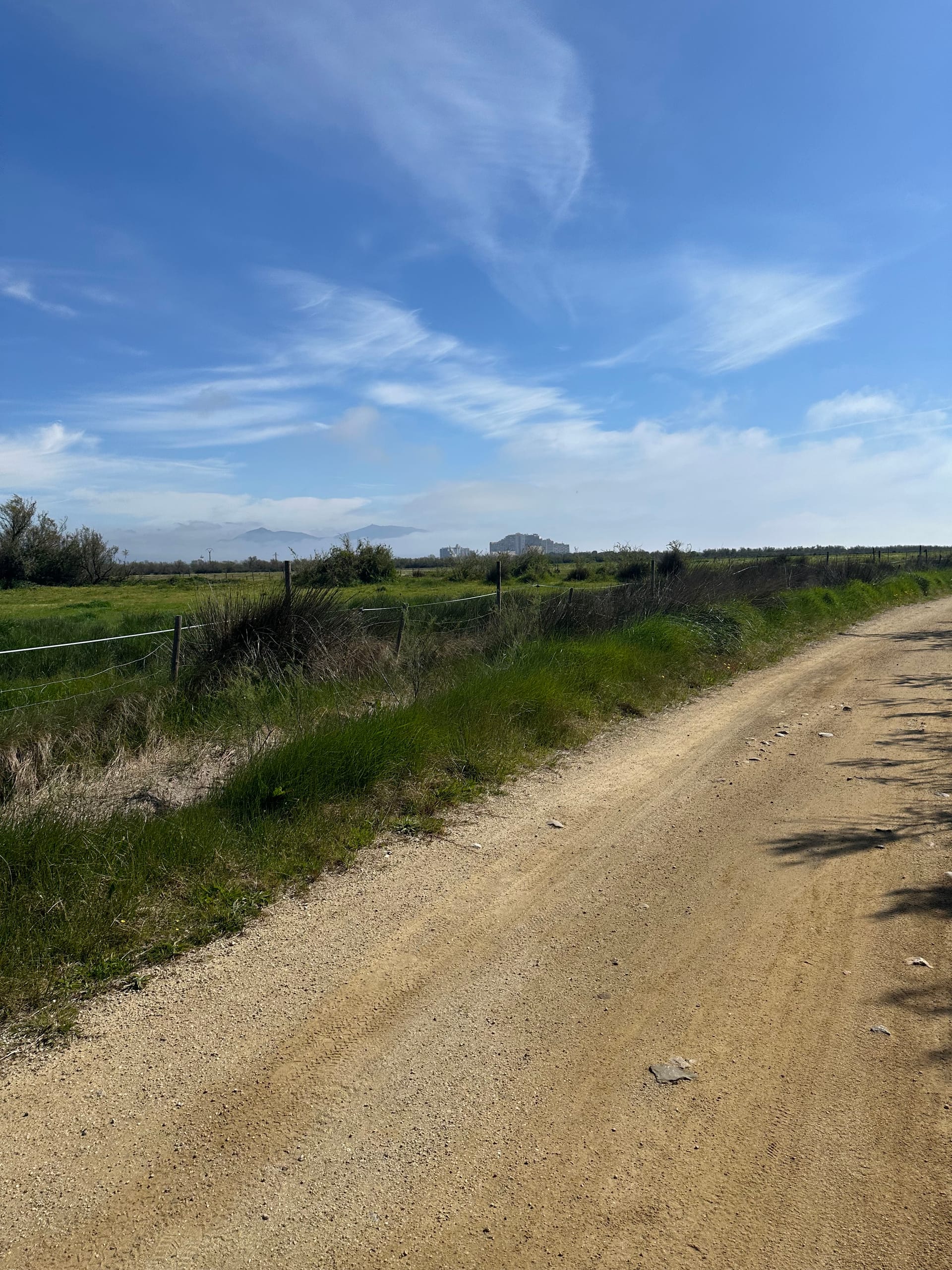 Ruta parking rio Muga - Aiguamolls de l’Empordà