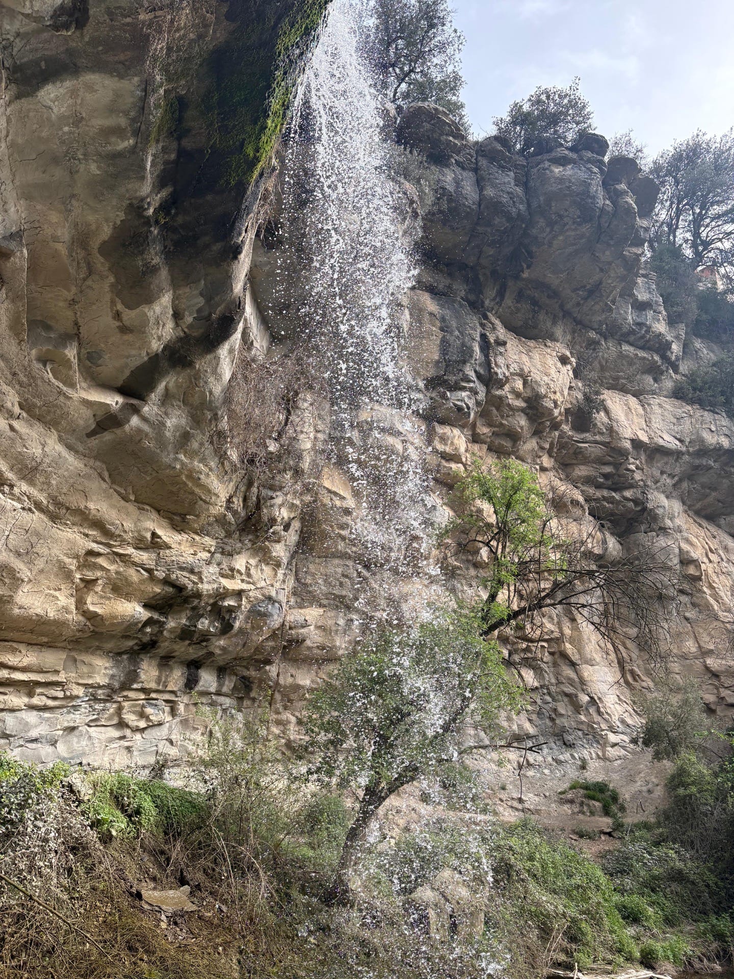 Camí de la Llavina-Font Grossa- Salt del Purgatori