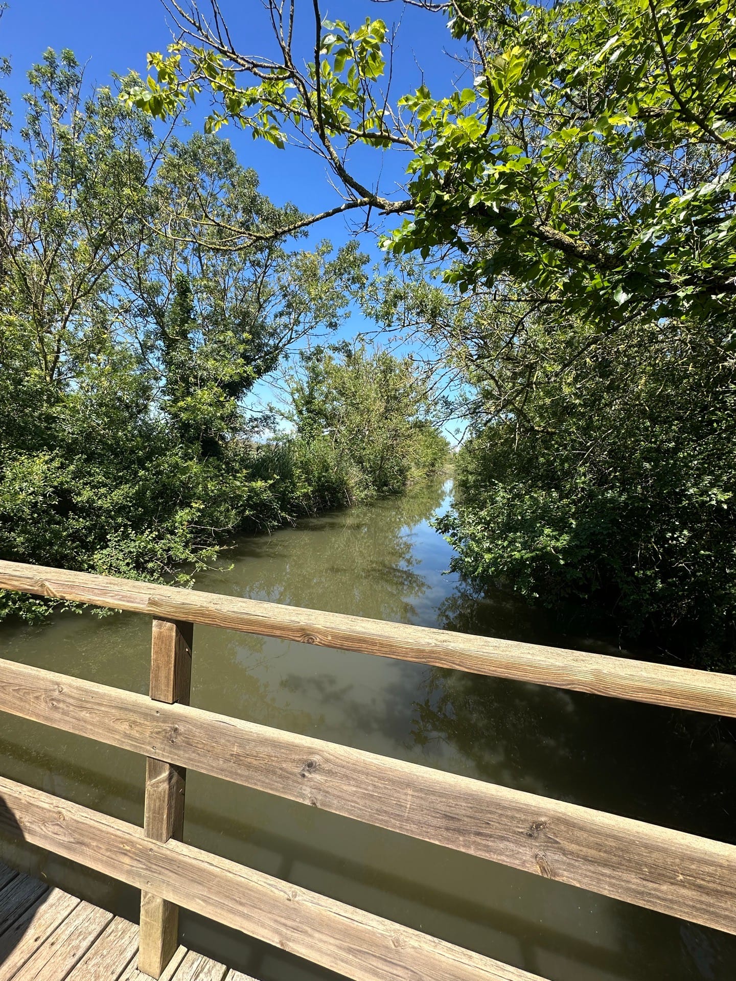 Pont de la Closa del Puig
