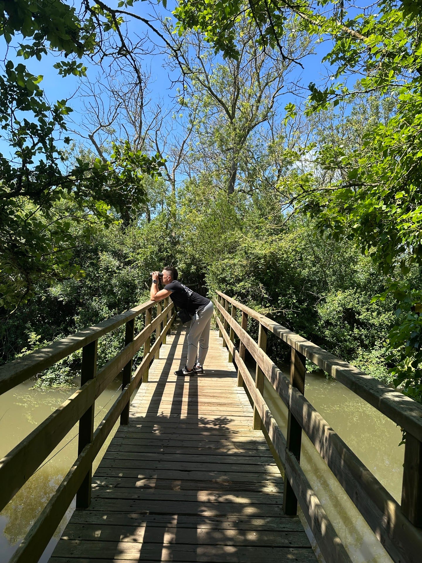 Pont de la Closa del Puig