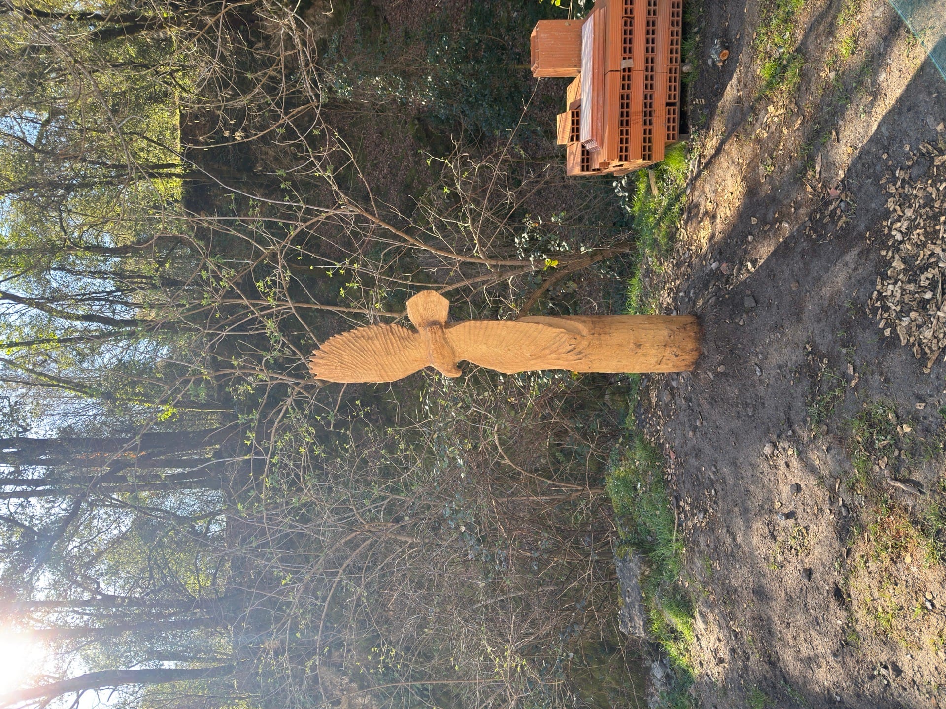 Estatua Aliga de Madera