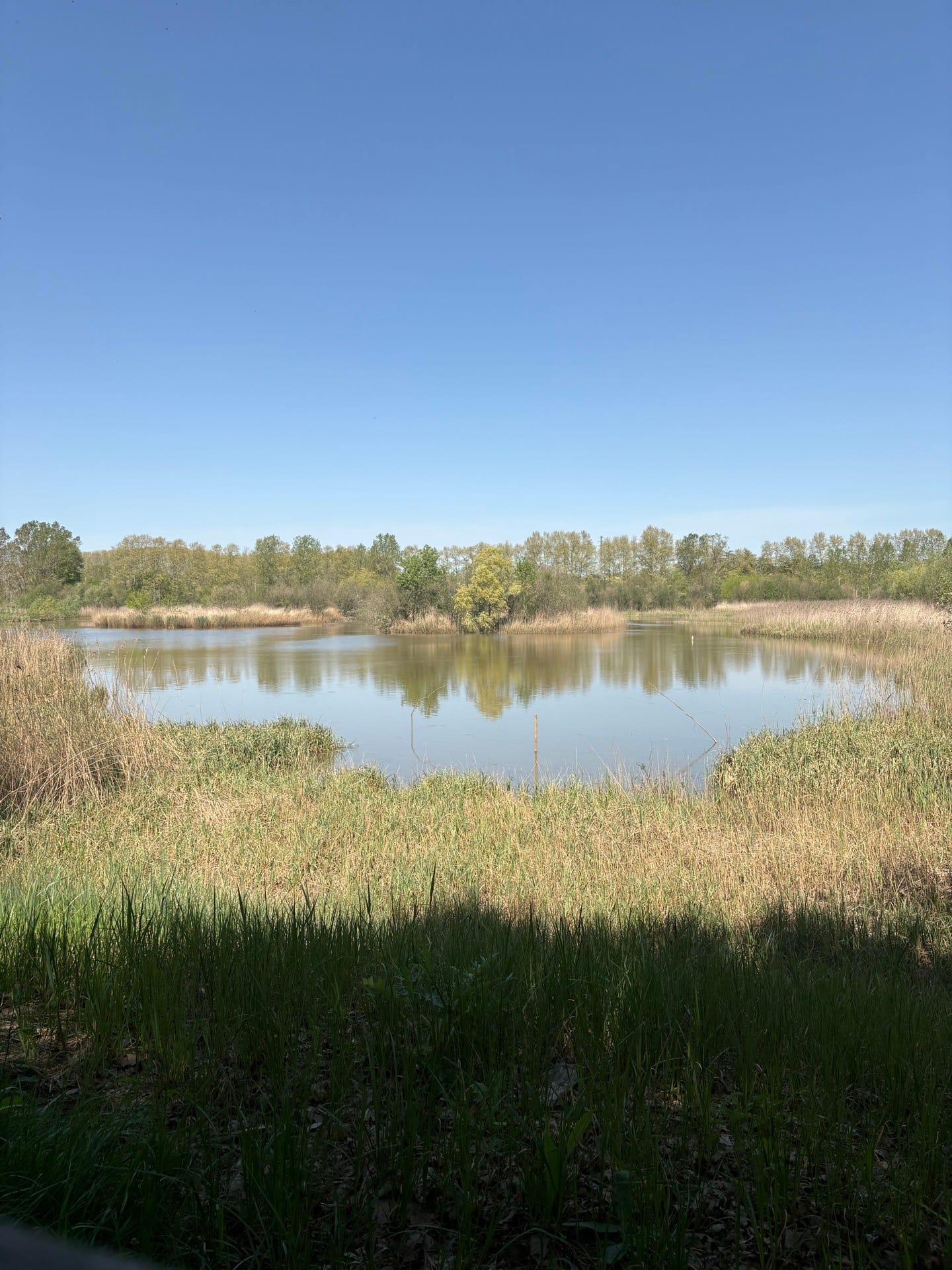 Estany de Sils