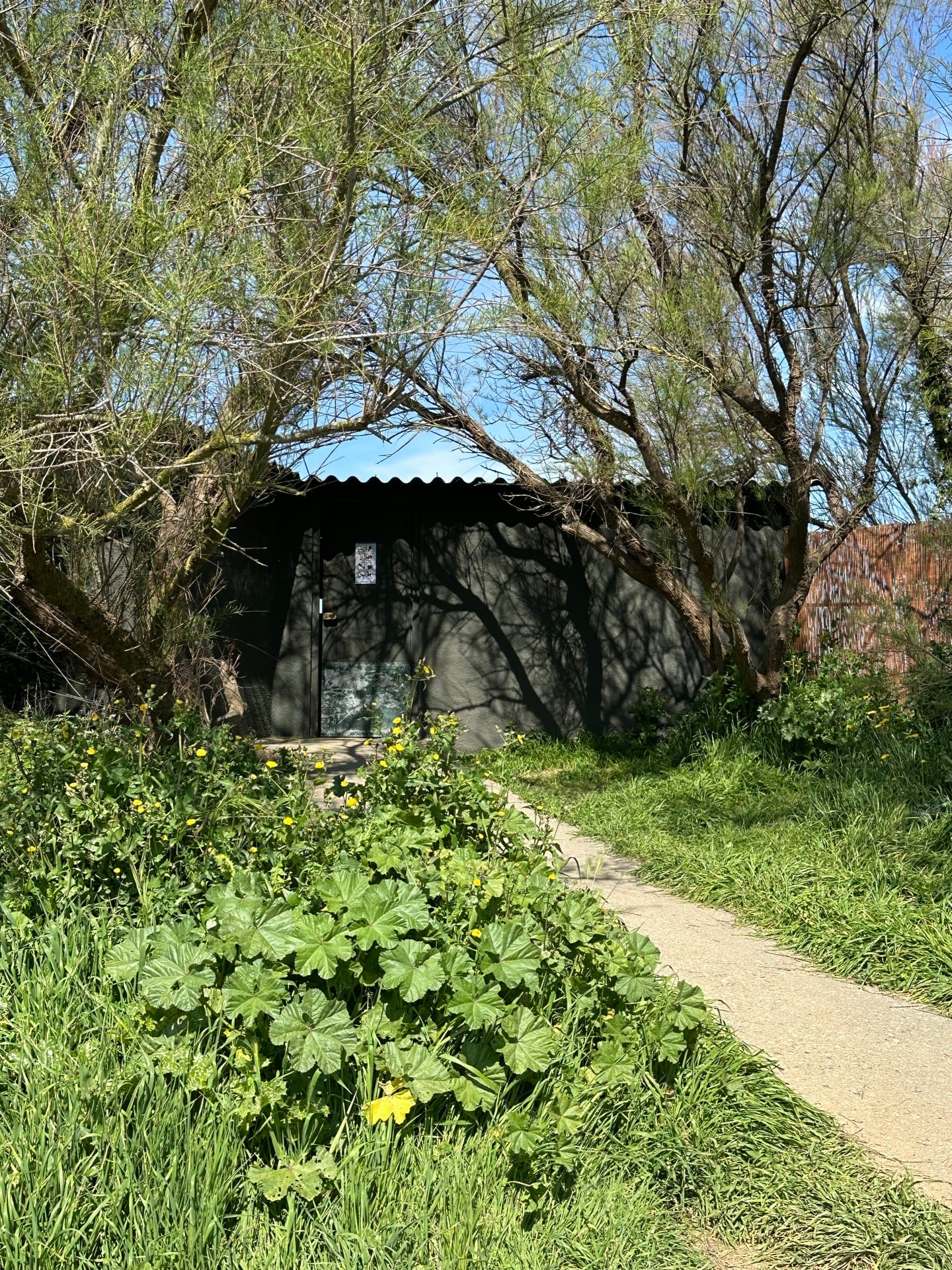 Observatorio