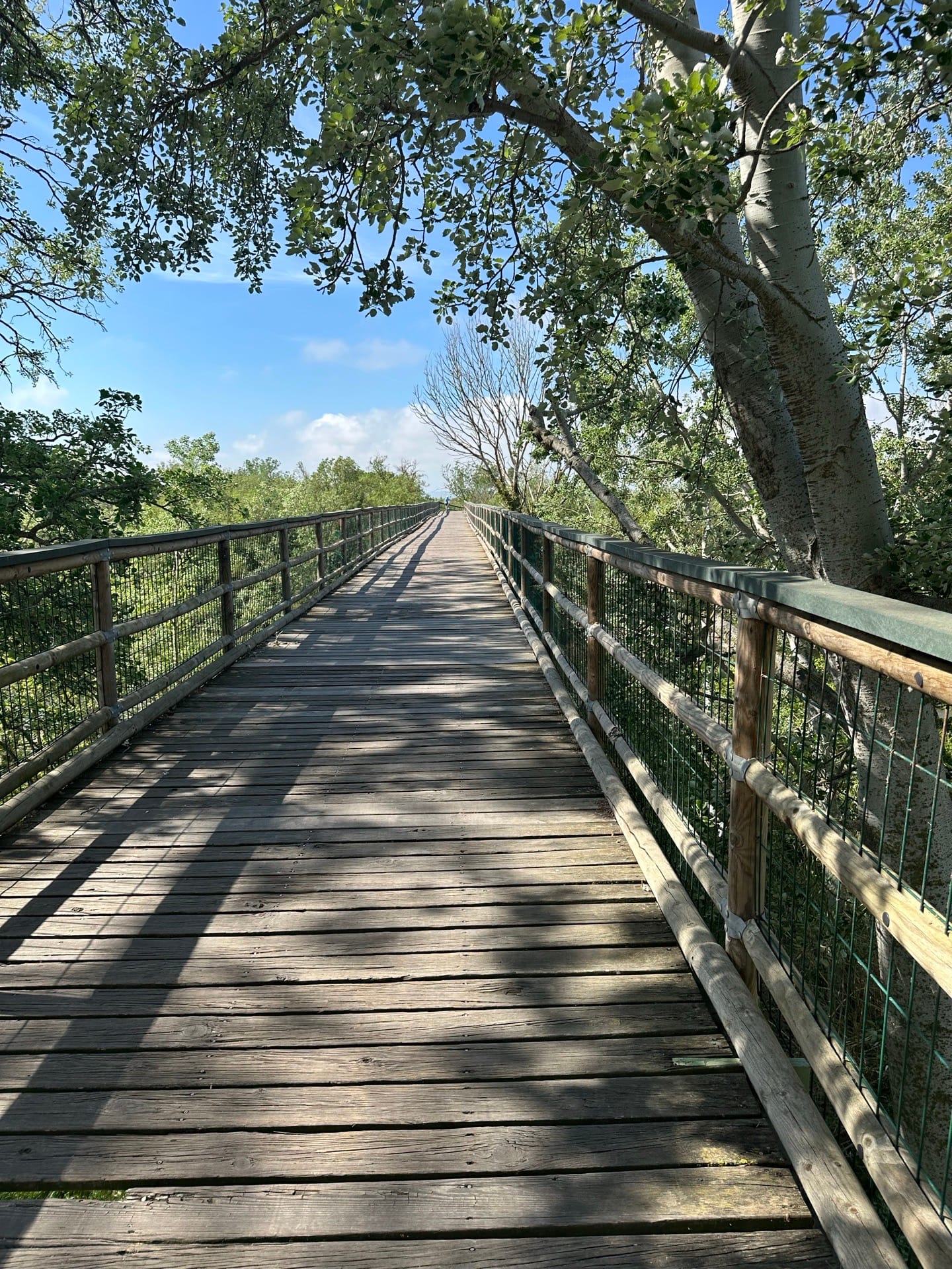 Puente de madera