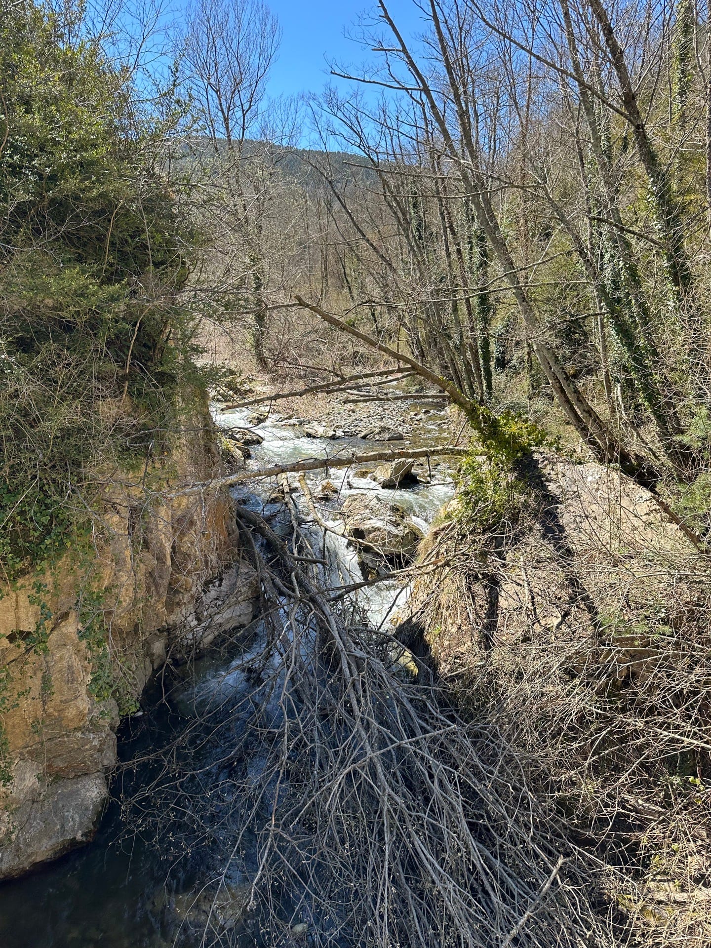 Puente