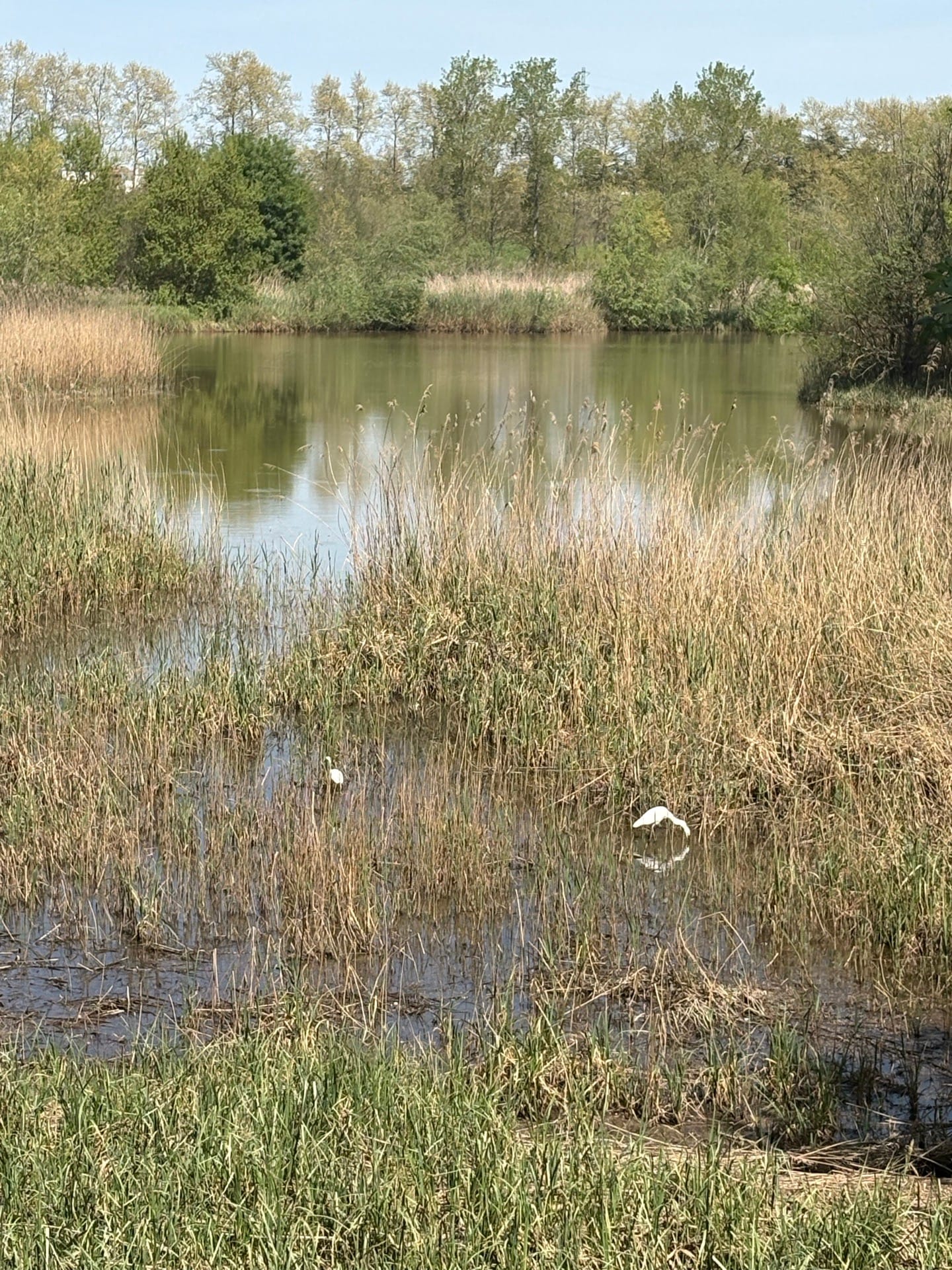 Volta a l’Estany de Sils