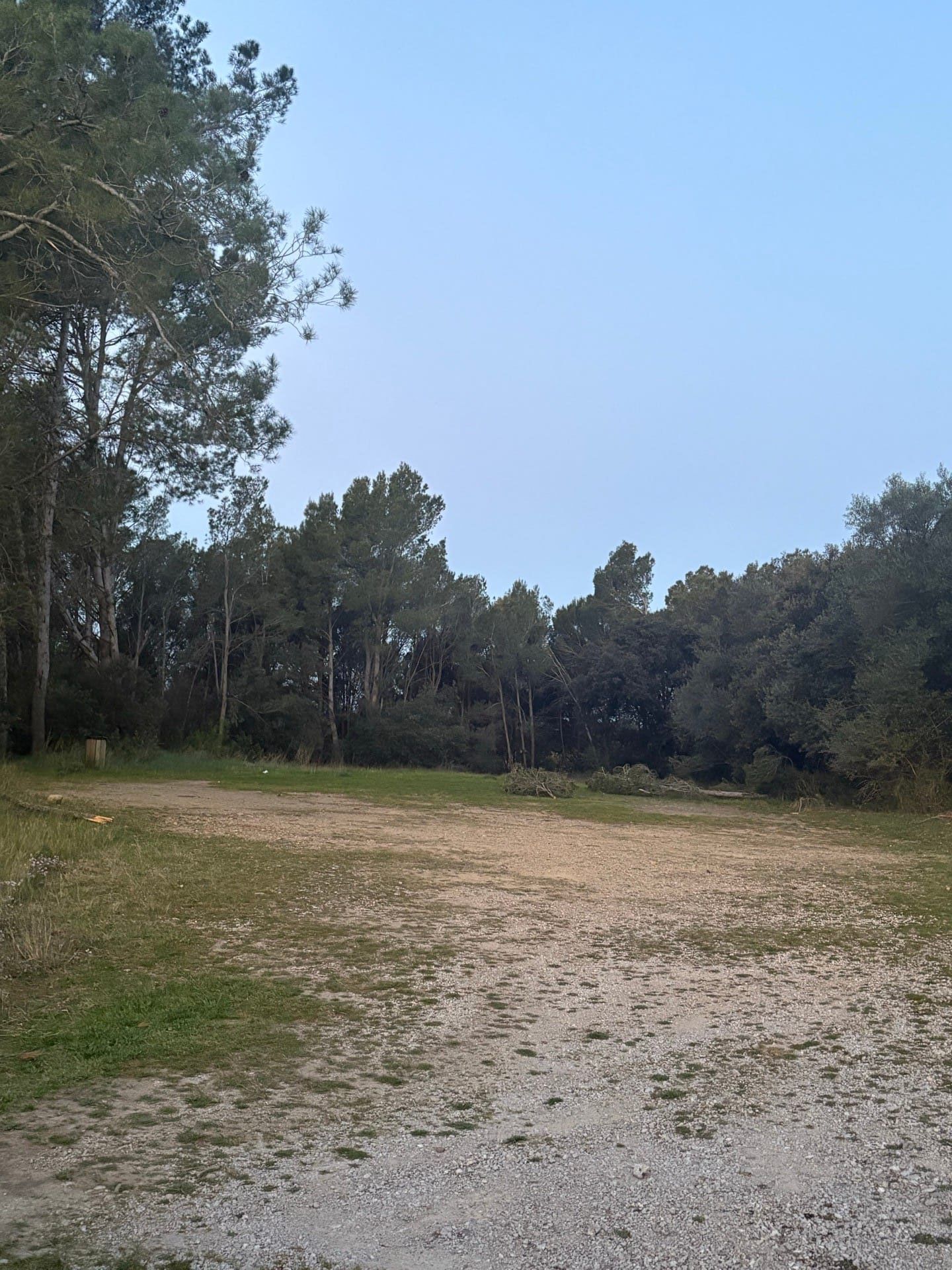 Bona Nit a Pontós