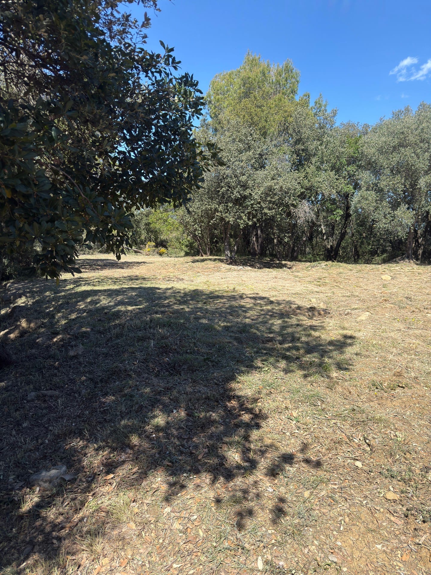 Zona acampada Puig de Lena