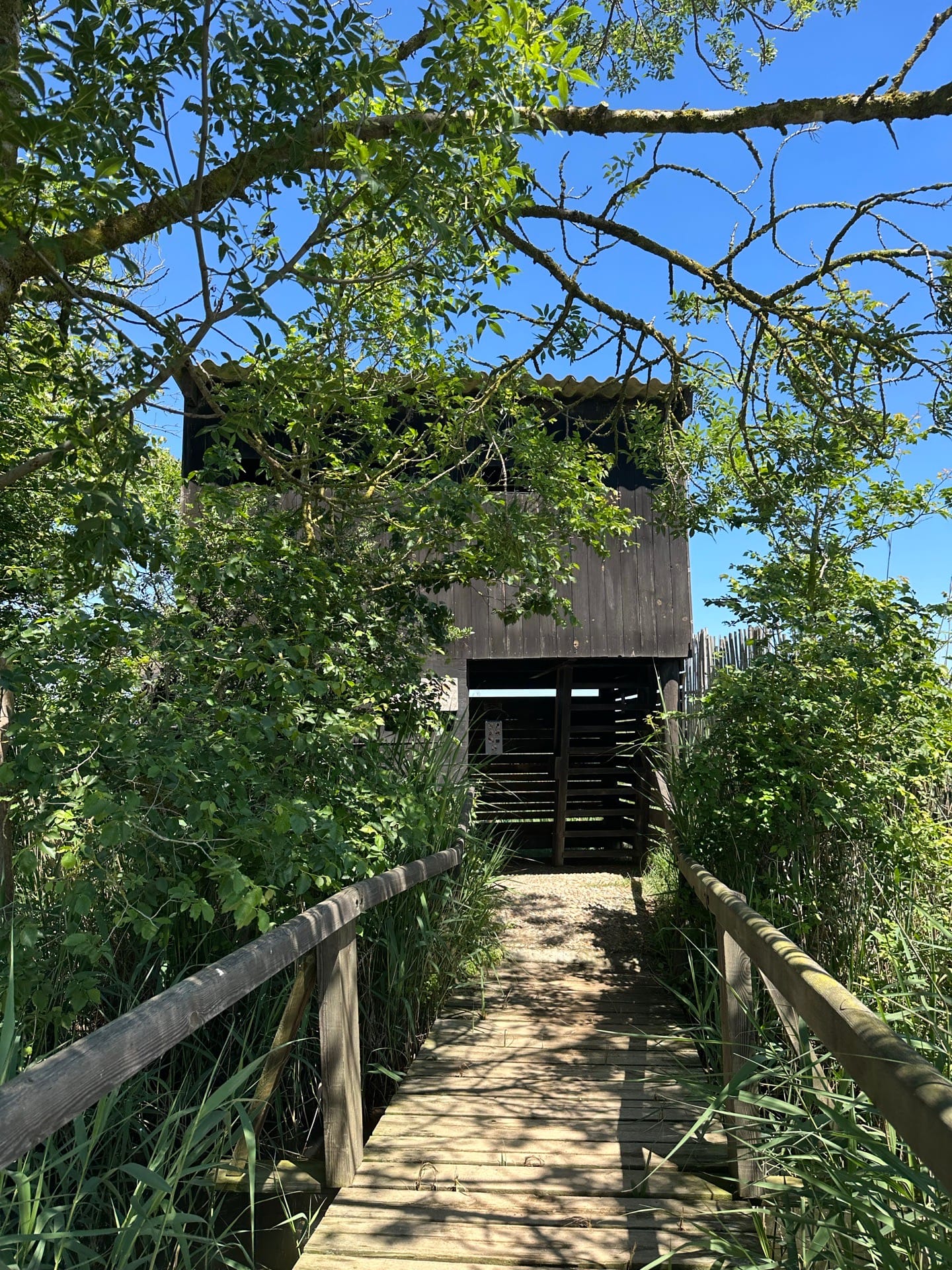 Observatori d’en Biel