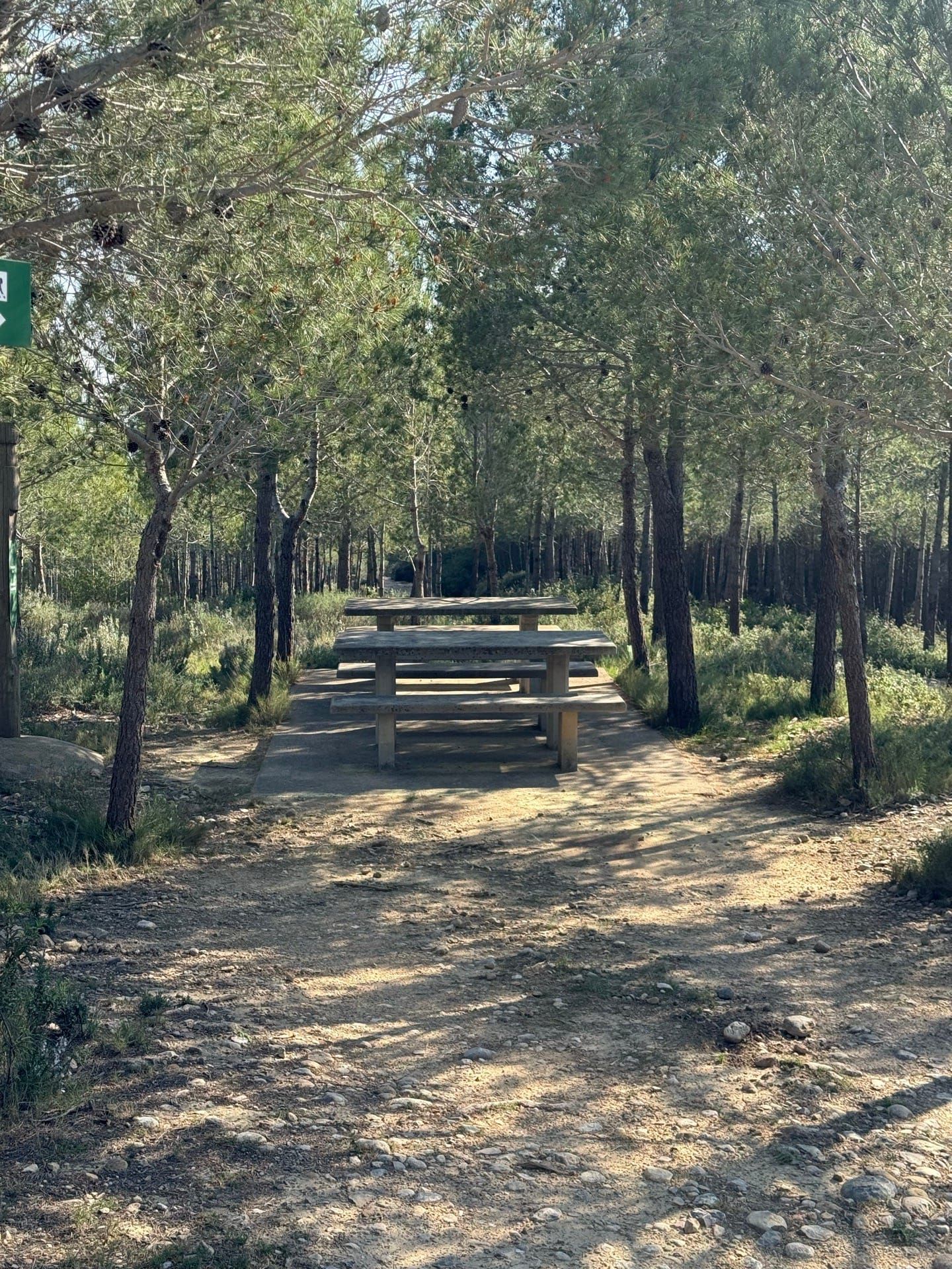 Zona picnic Puig Segalars