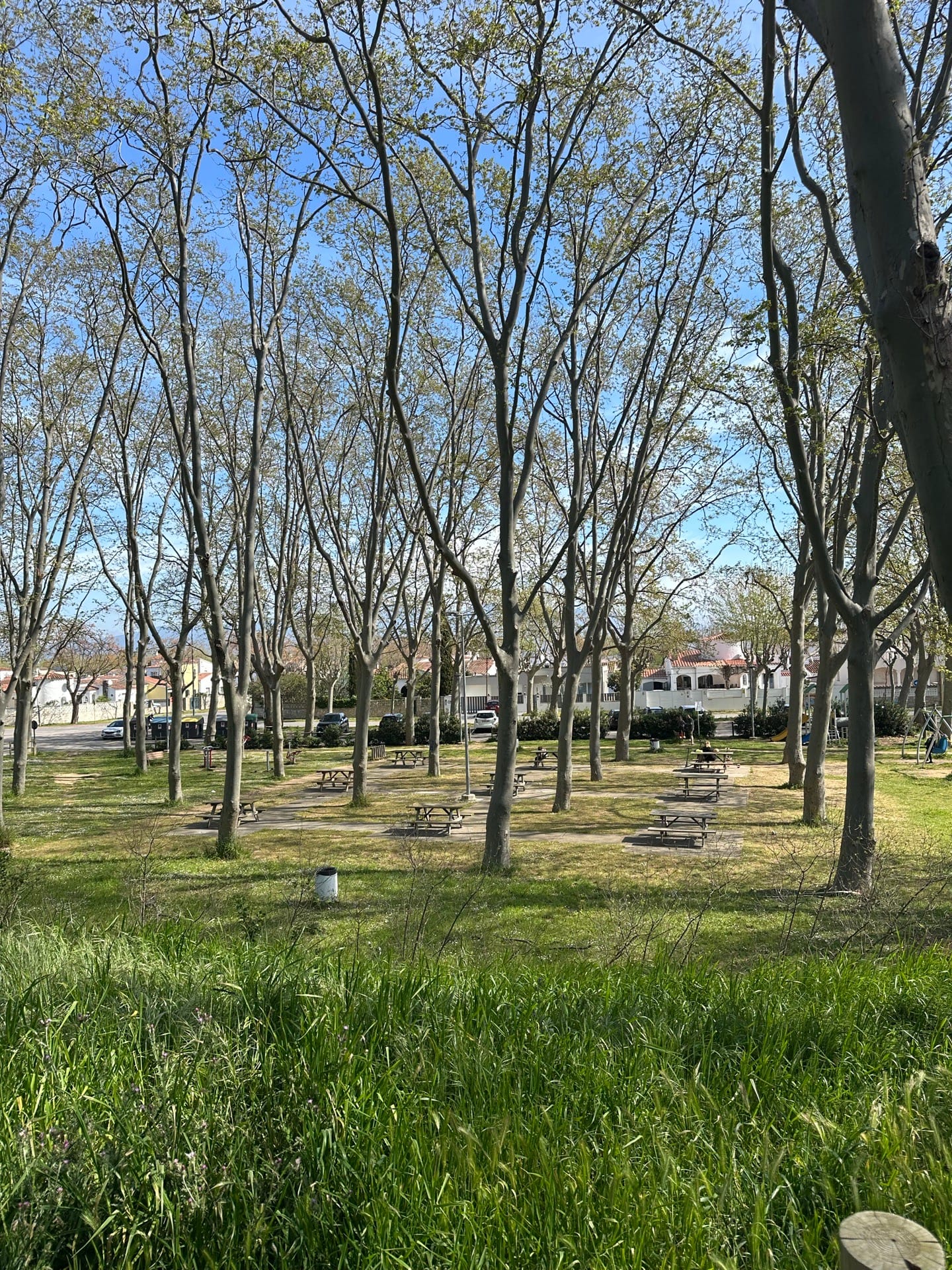 Parque