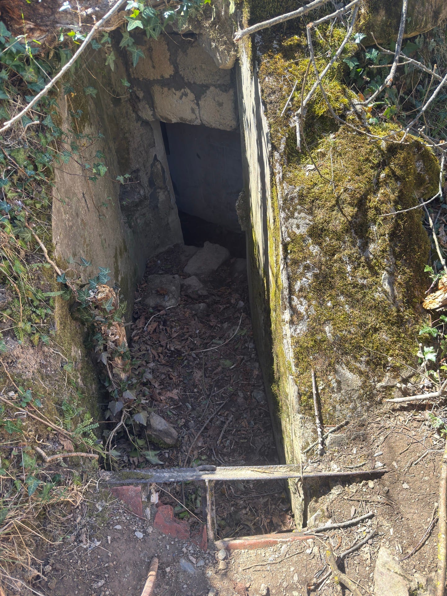 Bunker