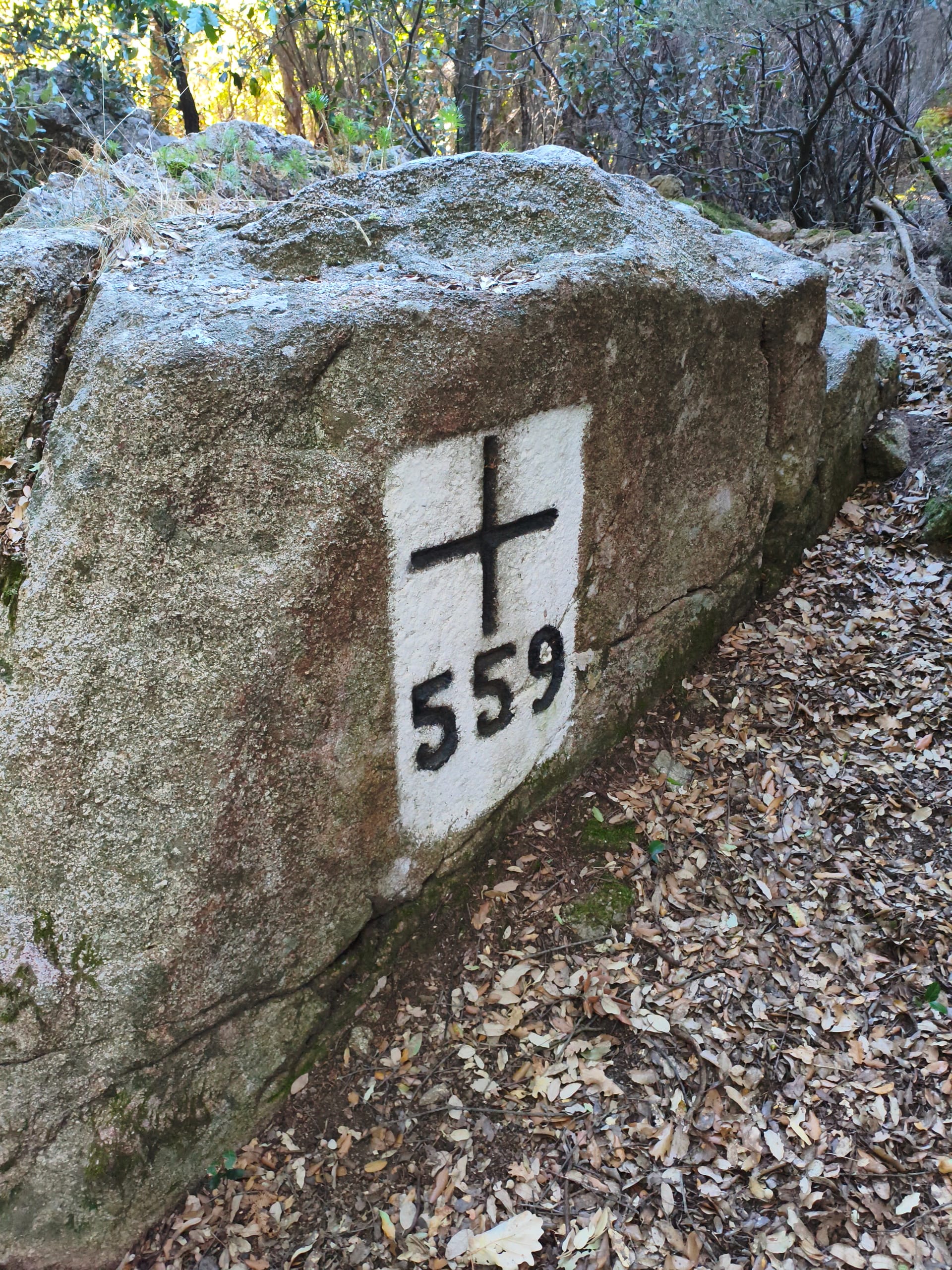 FRONTERA TRAIL ETAPA 2 +577 A +559