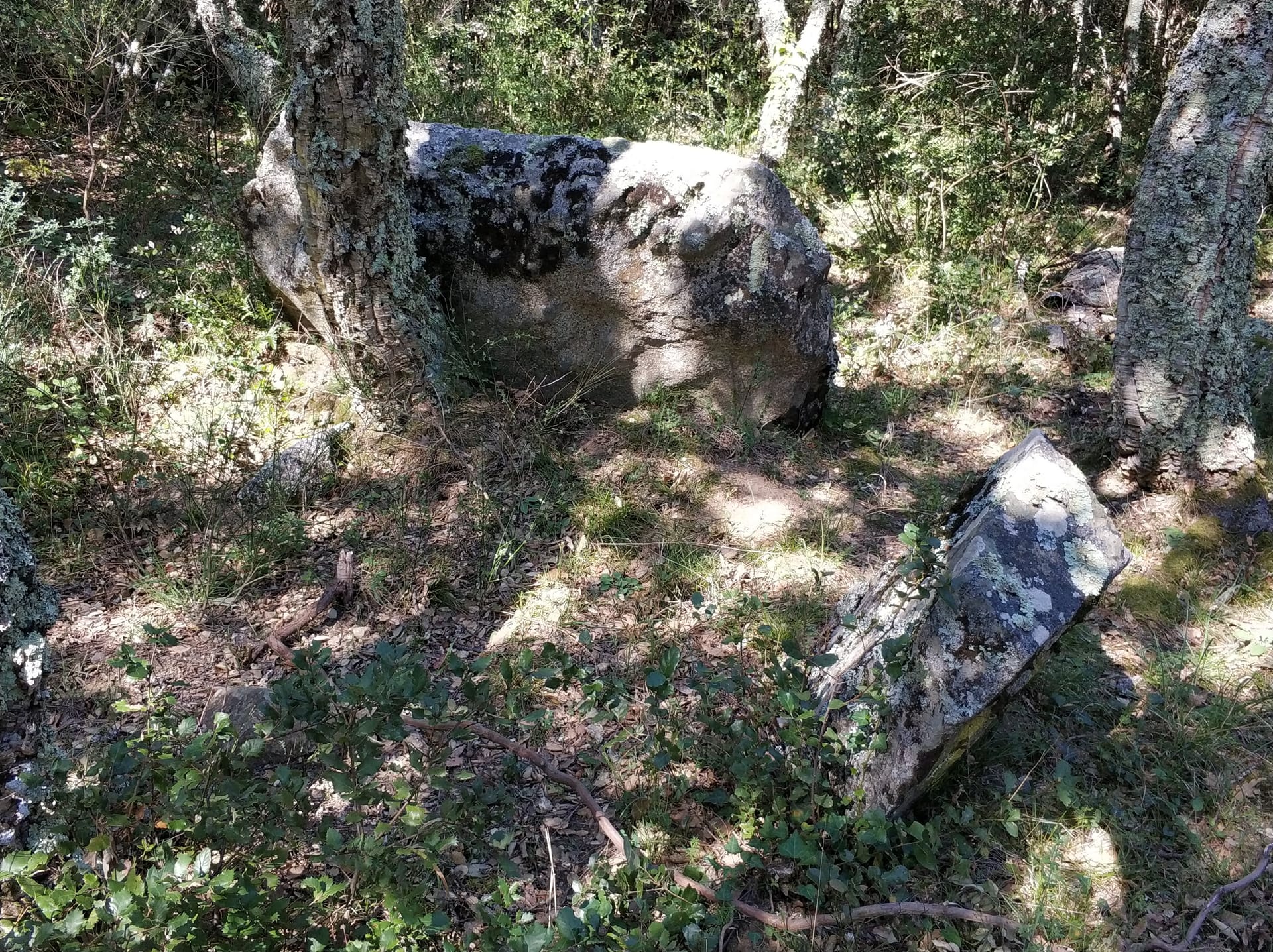 Dolmen de Can Lleona