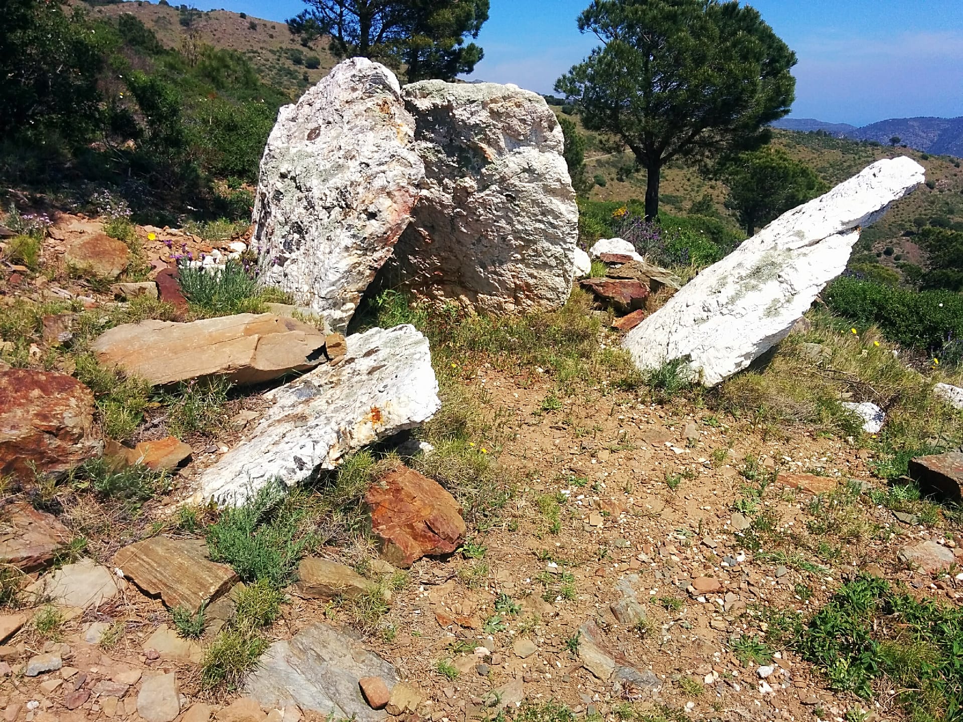 Dolmen del Mas Patiràs