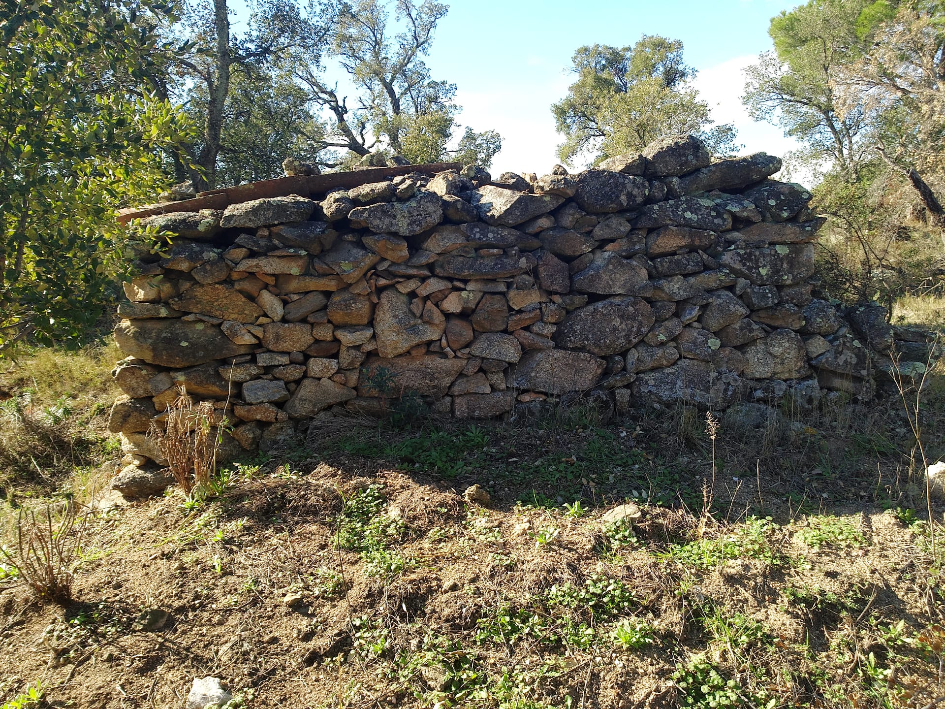 Dolmen del Puig del Pal