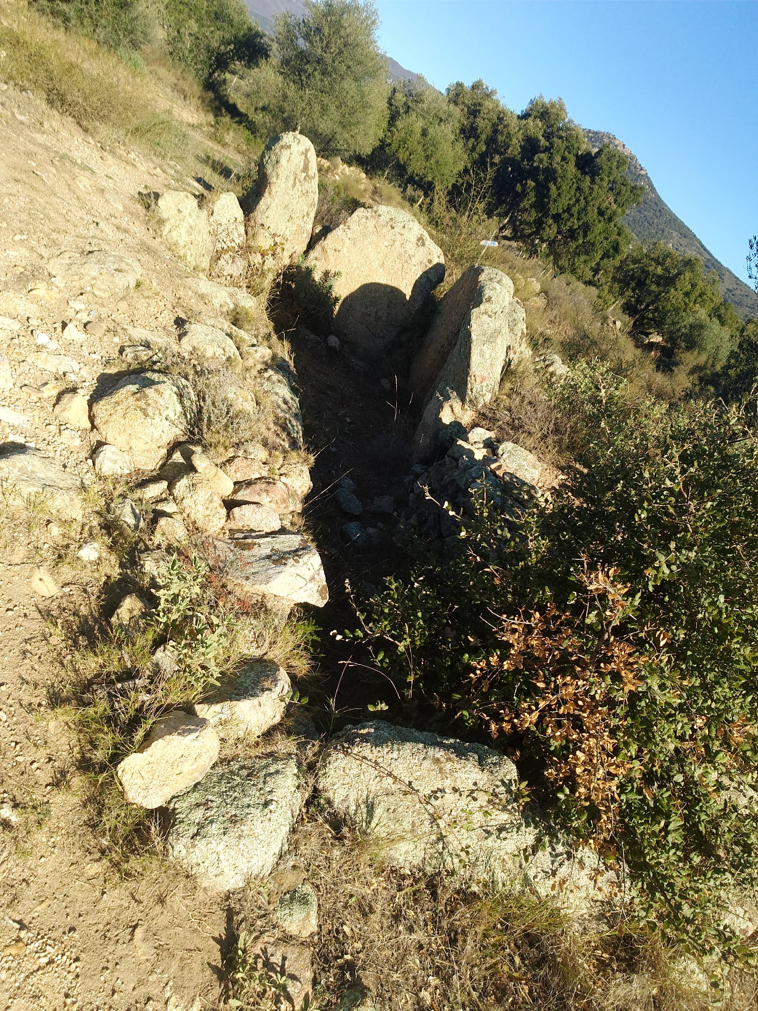 Dolmen de les Tires Llargues