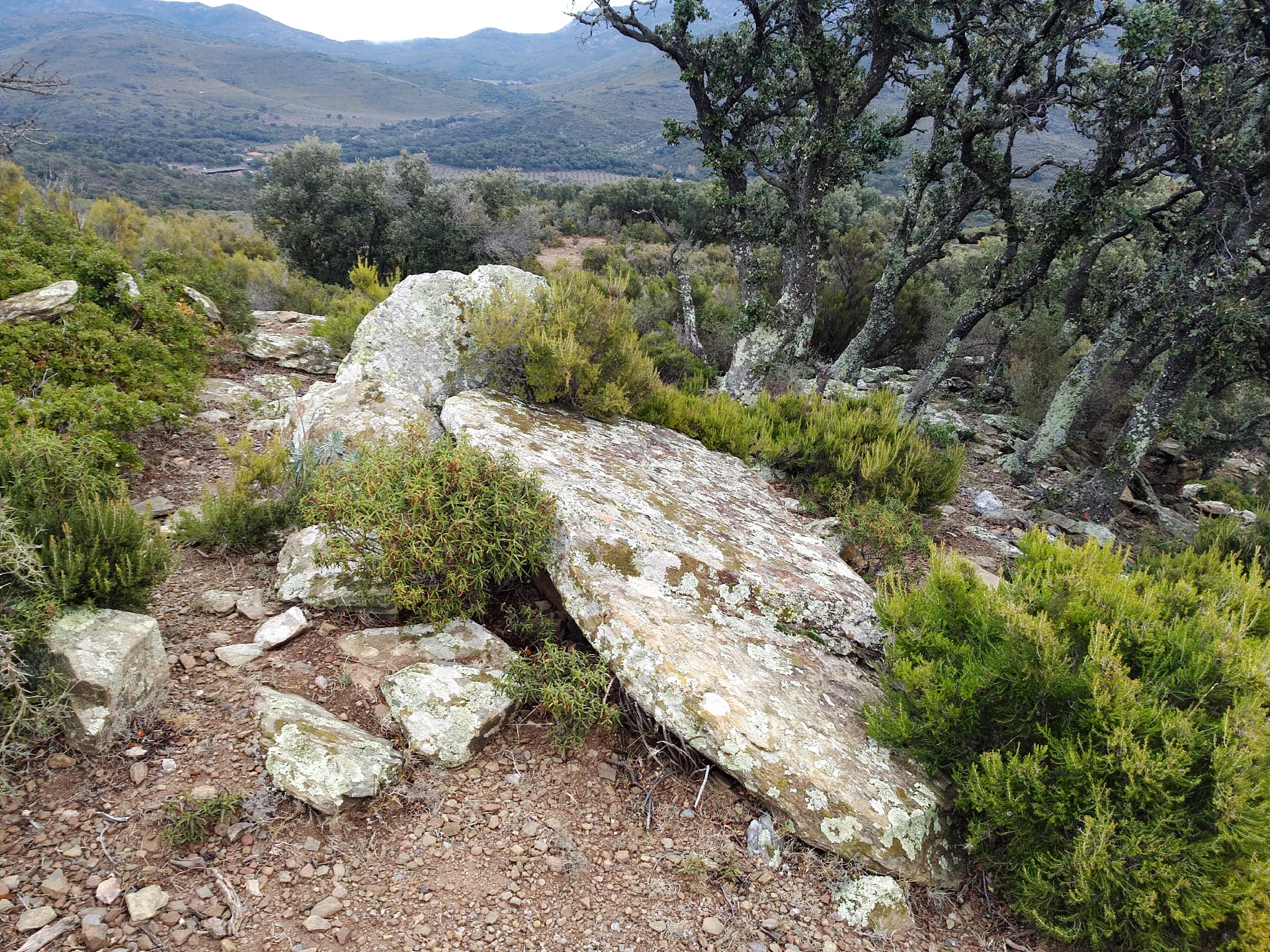 Dolmen del Puig Balaguer