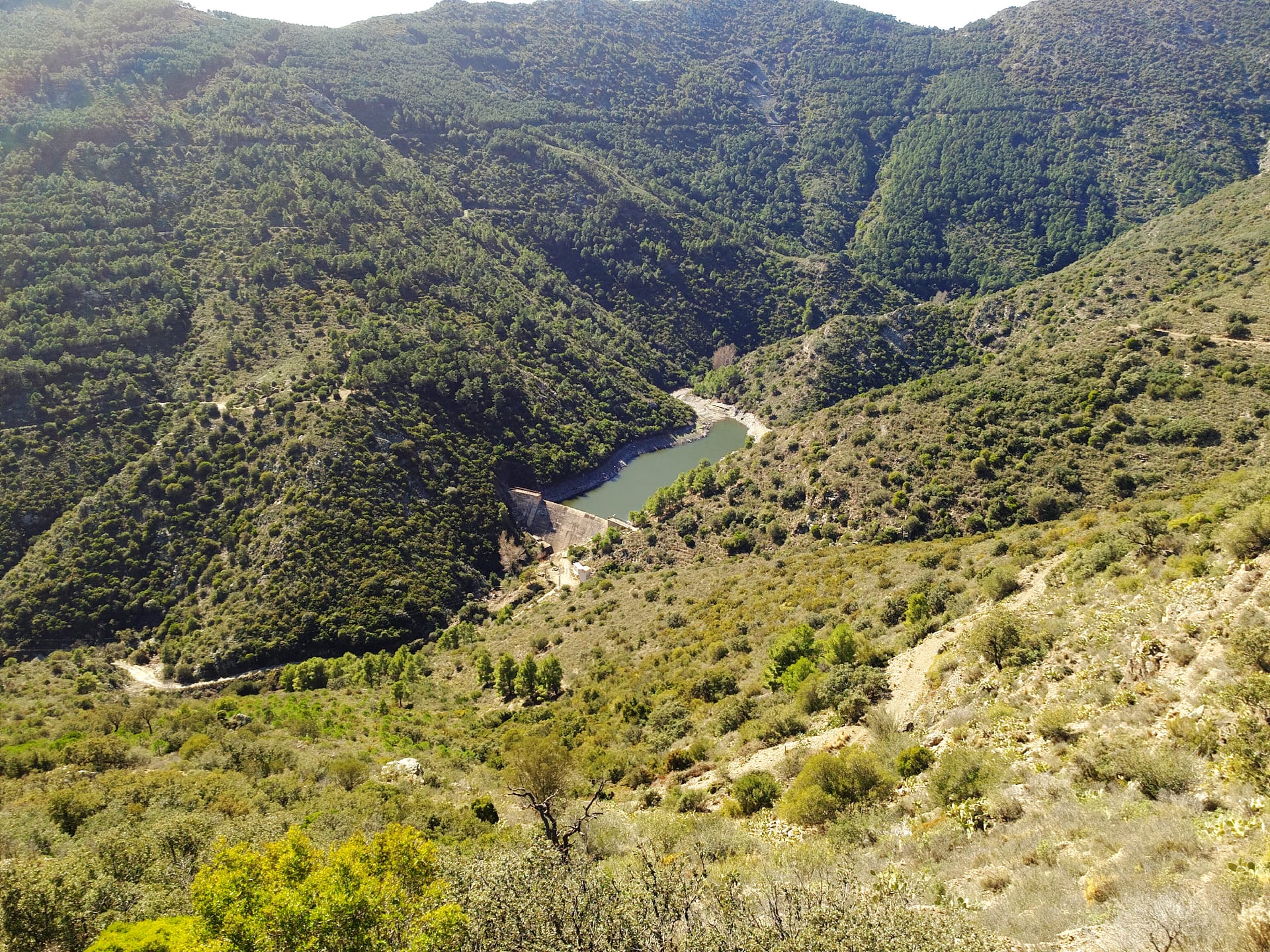 Dolmen del Puig de l'Àliga II