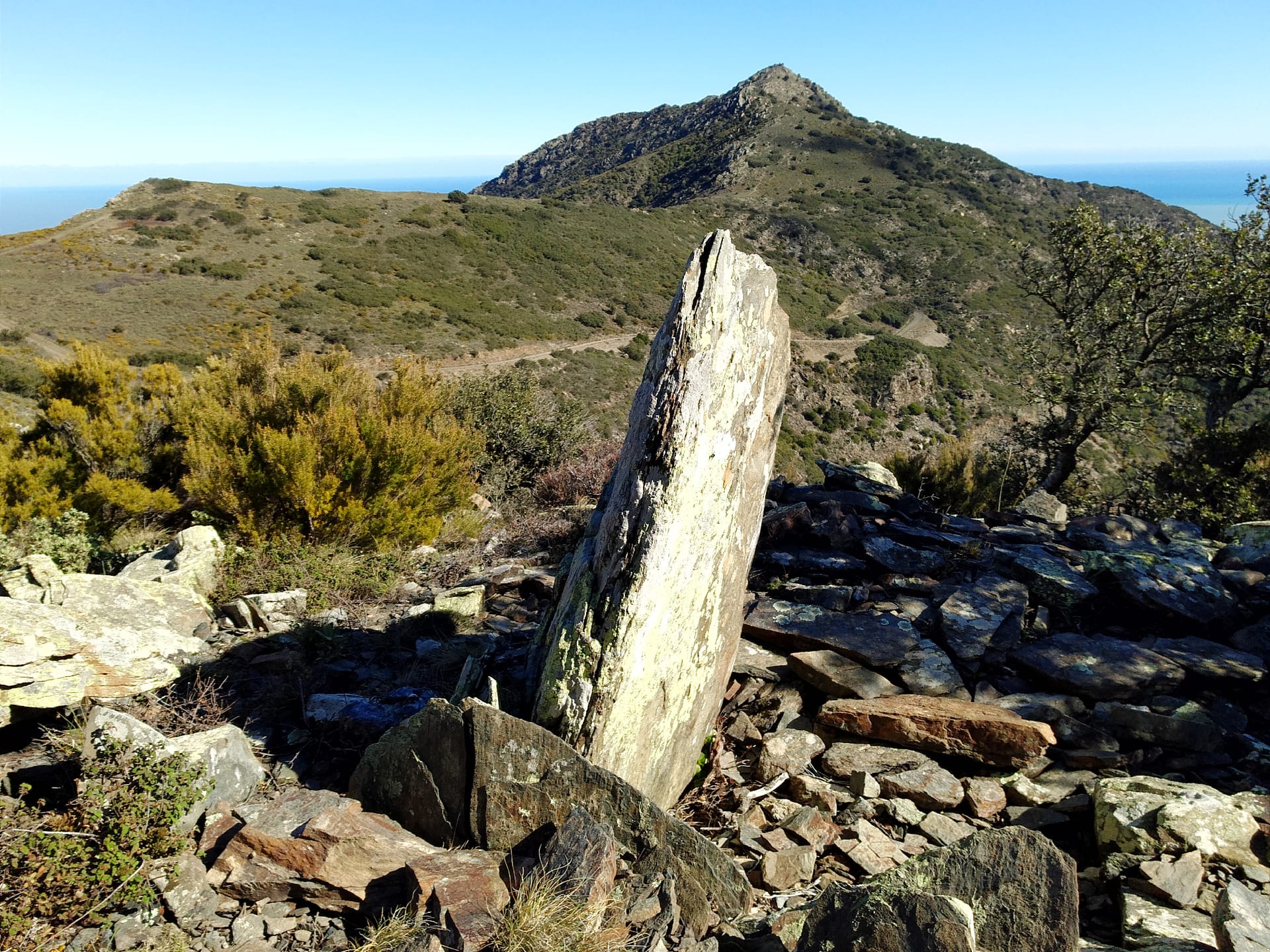 Dolmen del Pla del Ras