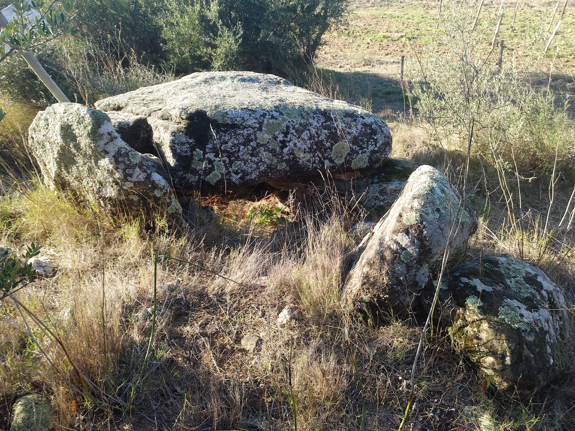 Dolmen del Prat Tancat