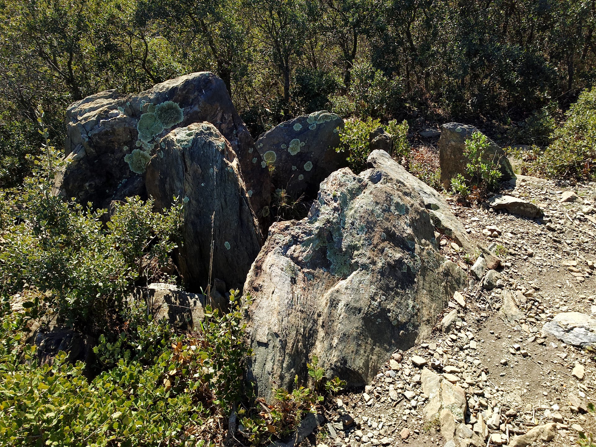 Dolmen del Coll de la Farella