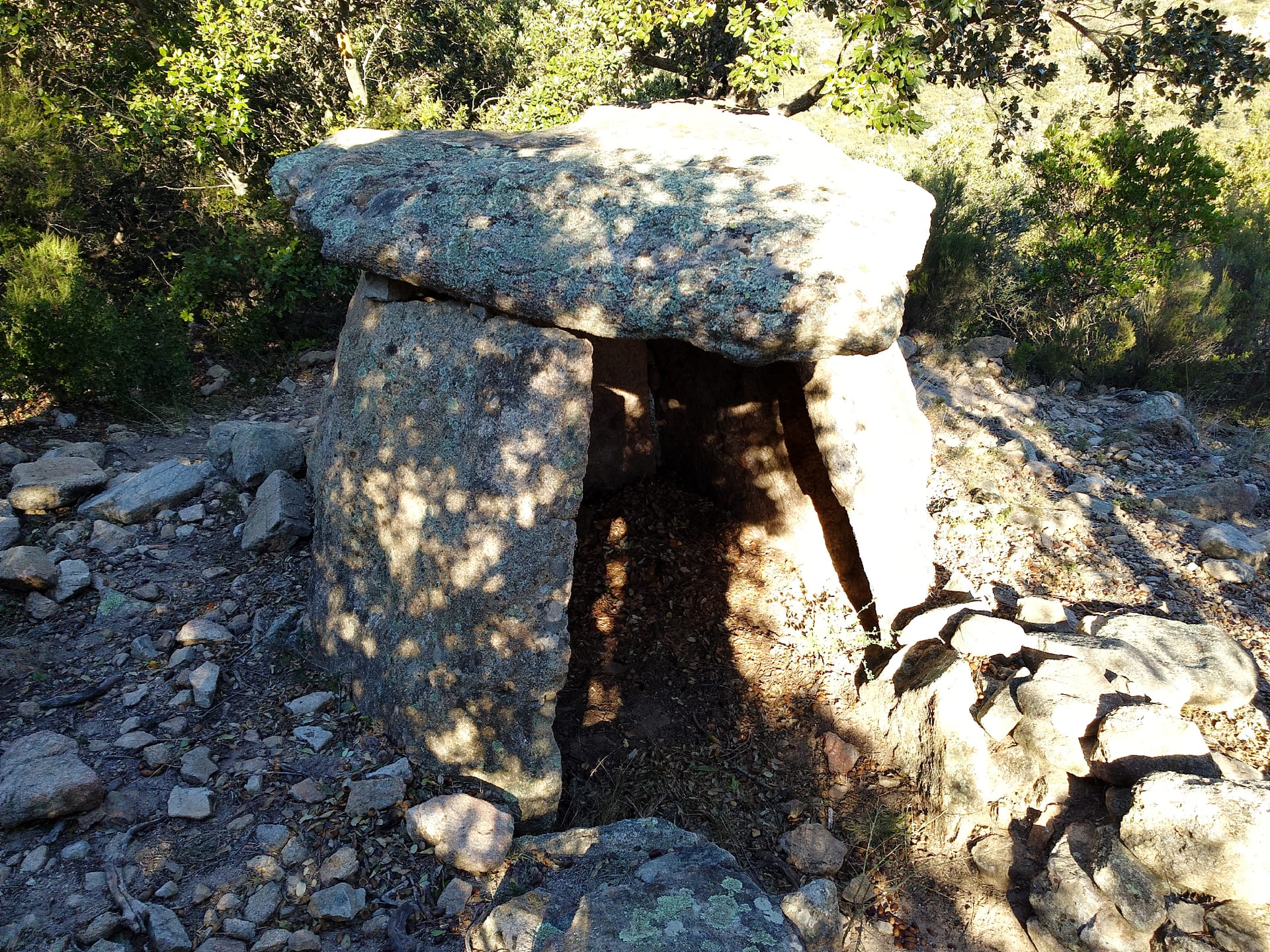 Dolmen dels Arreganyats