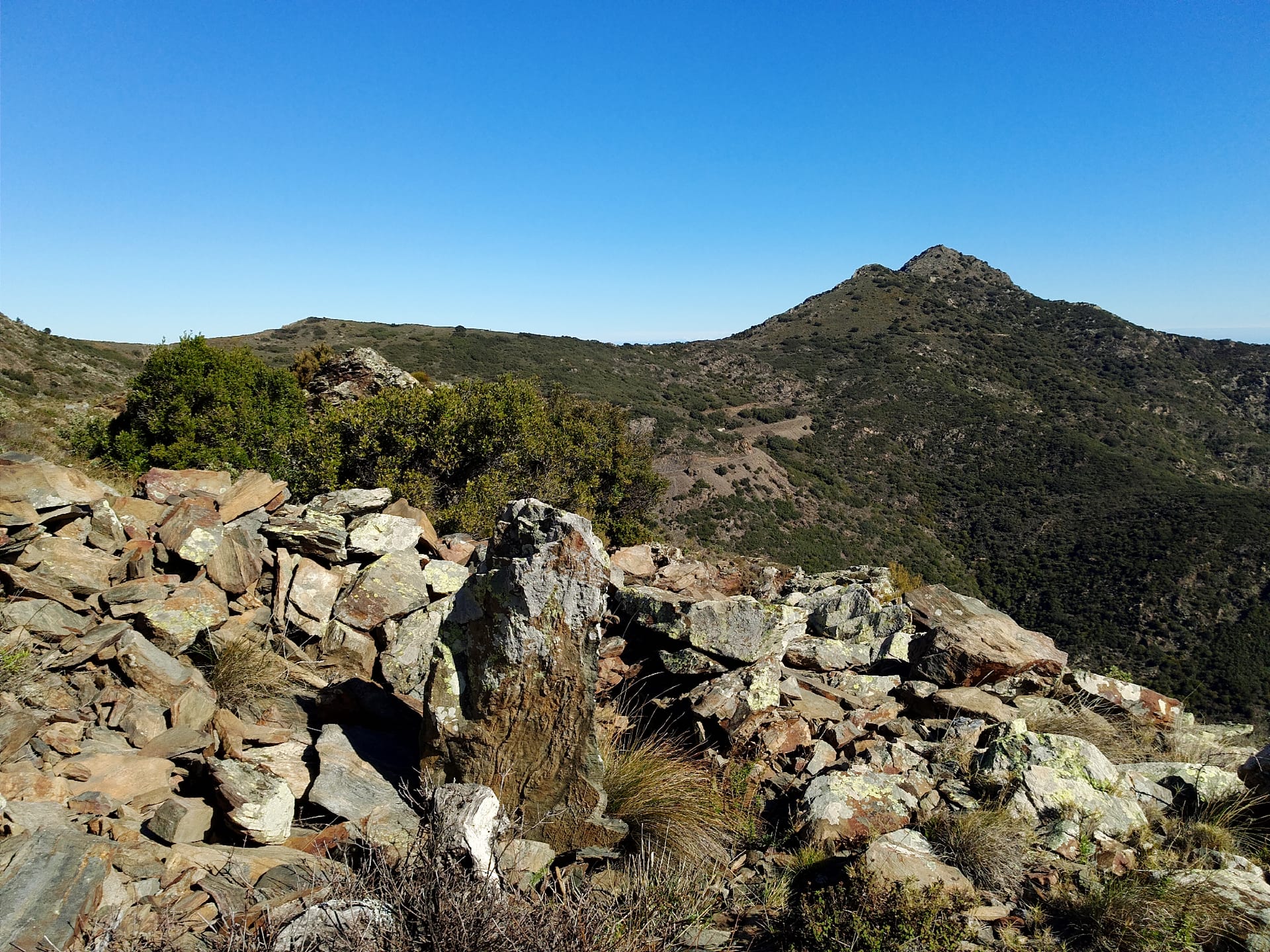 Menhir de Tarabaus