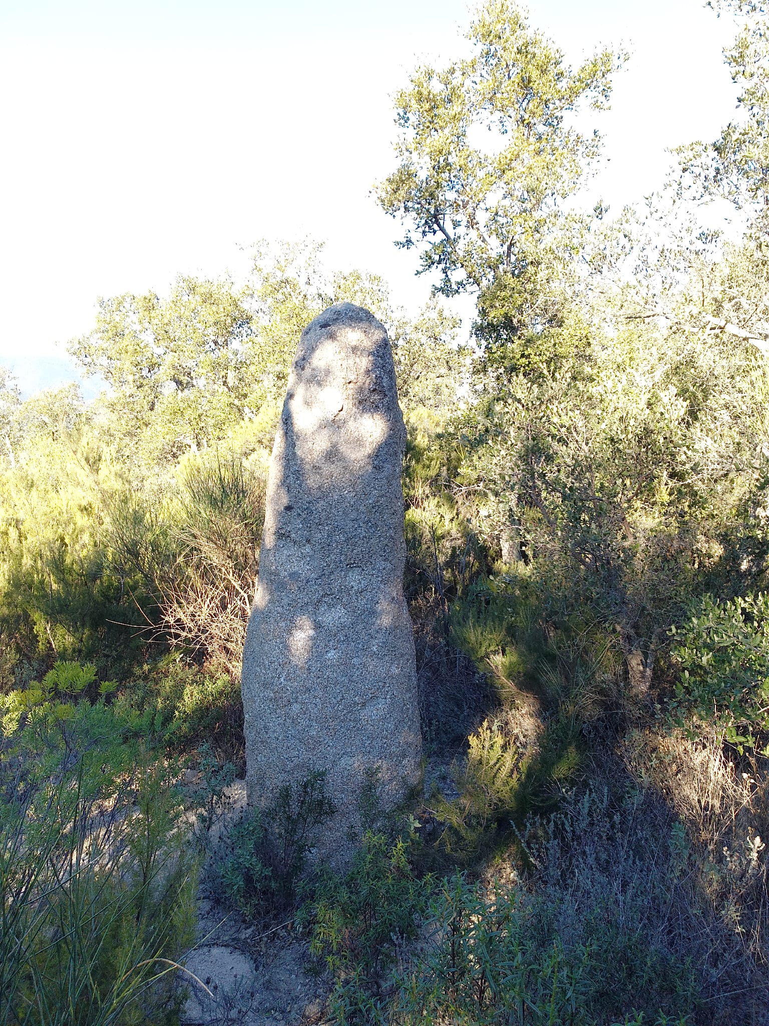 Menhir del Castellà (Rocs Blancs)