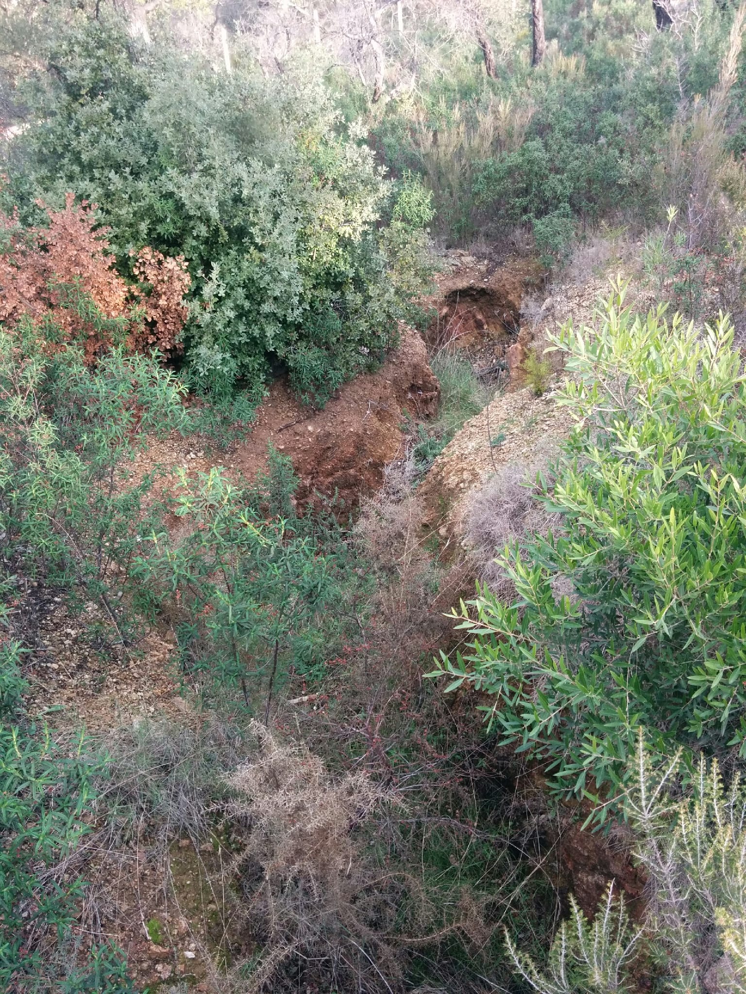 Trinxeres de la duana nord de la Jonquera