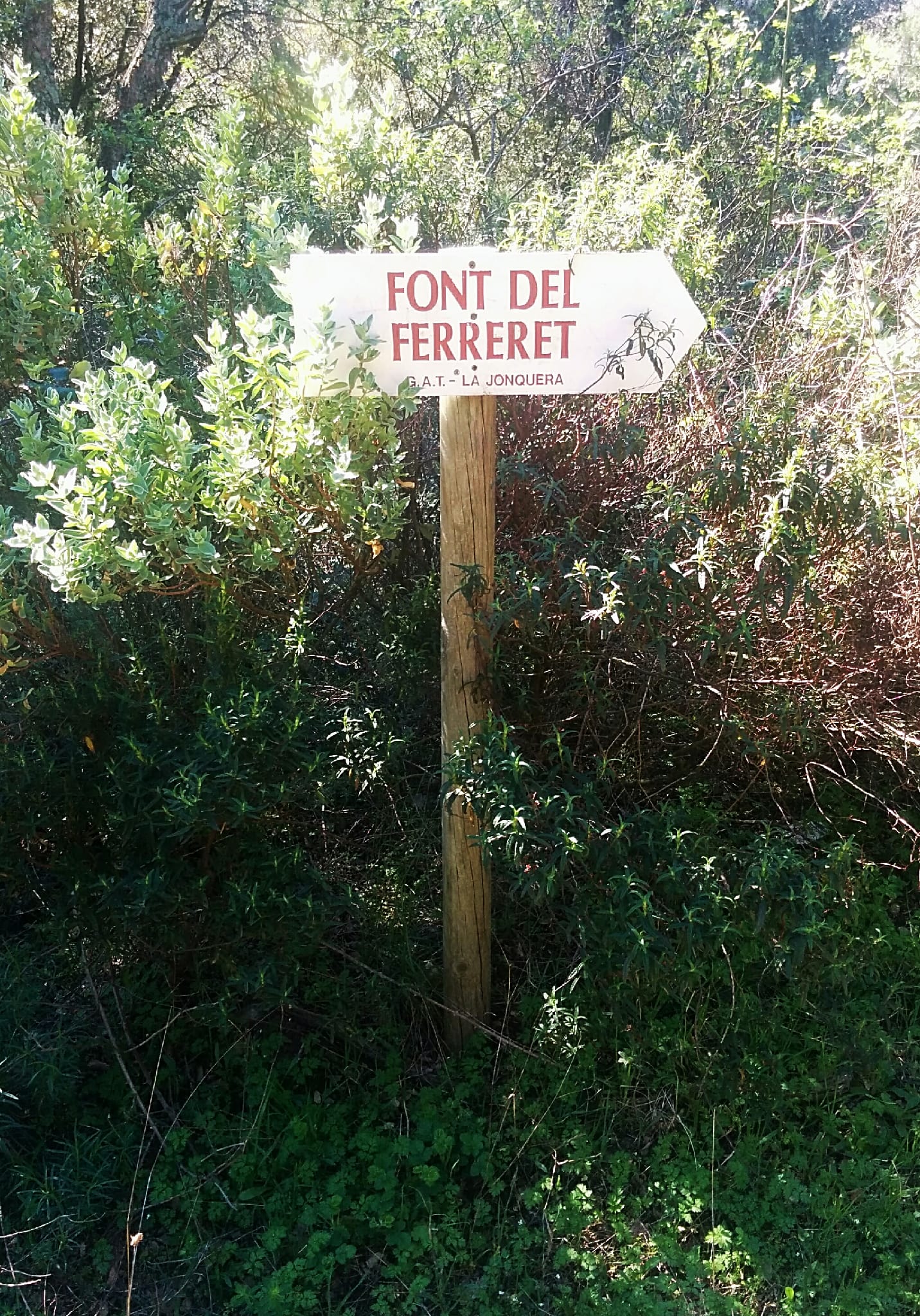 Font d'en Ferreret