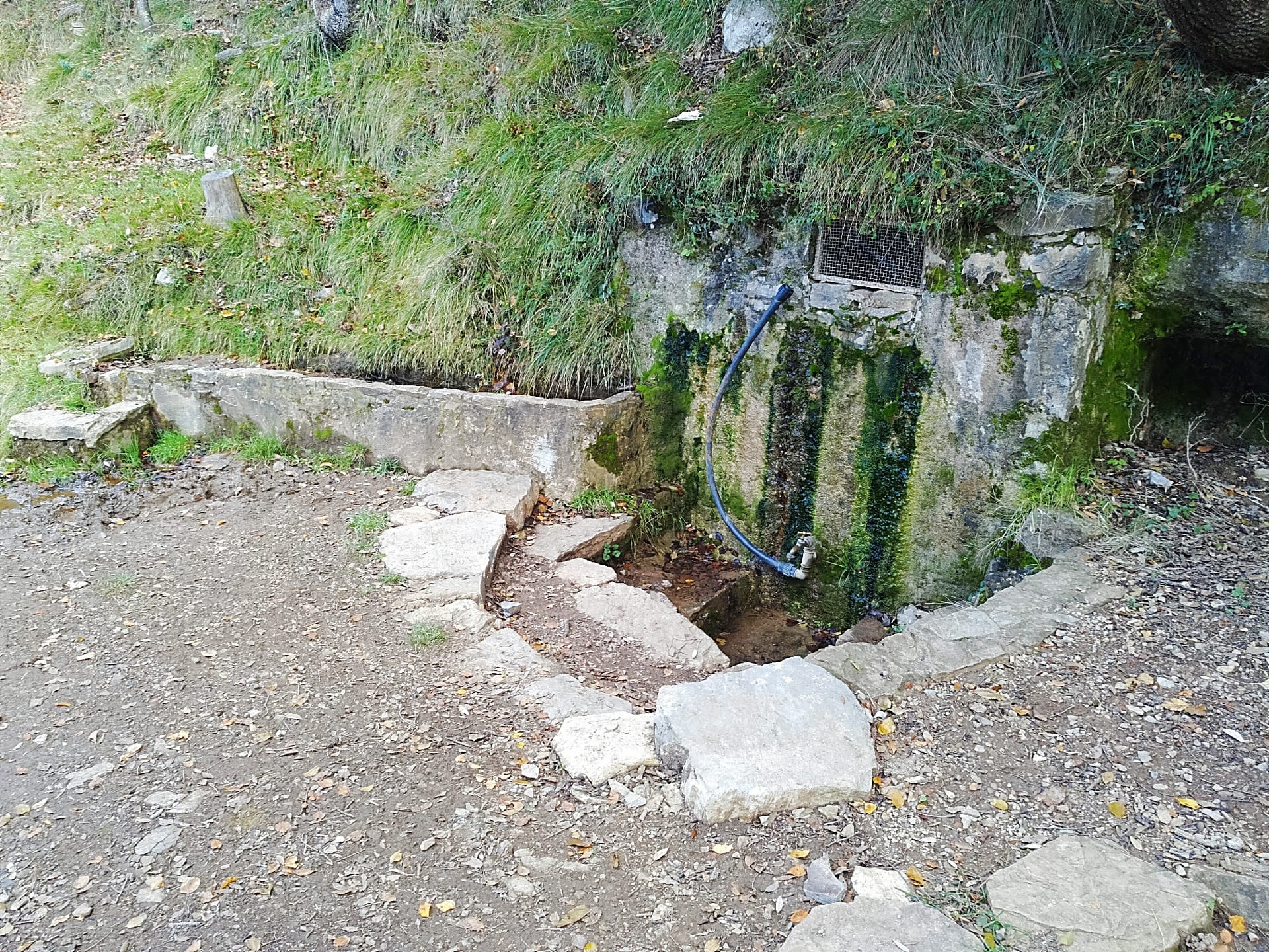 Font de Lliurona