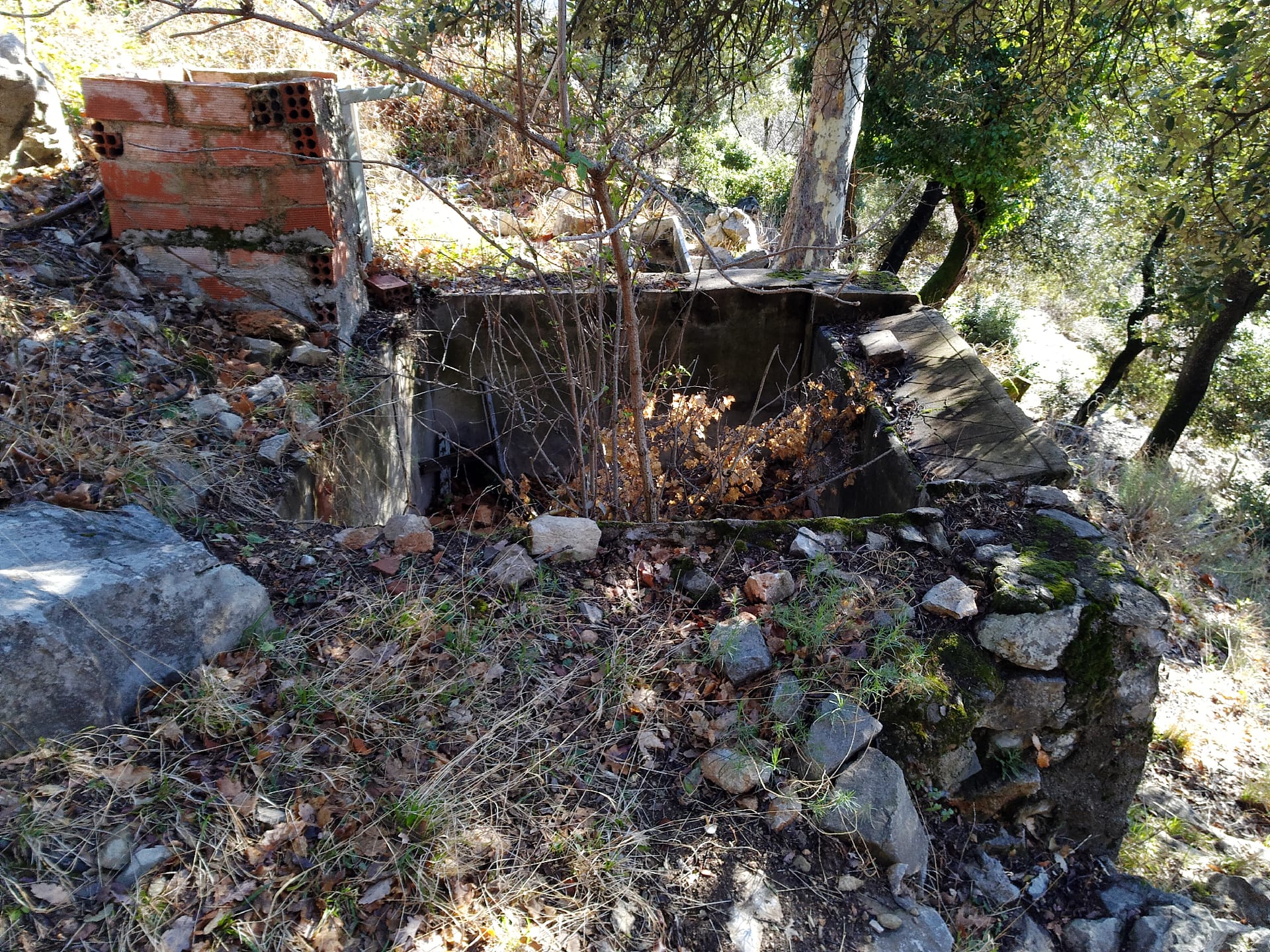 Font de Sant Miquel de Bassegoda
