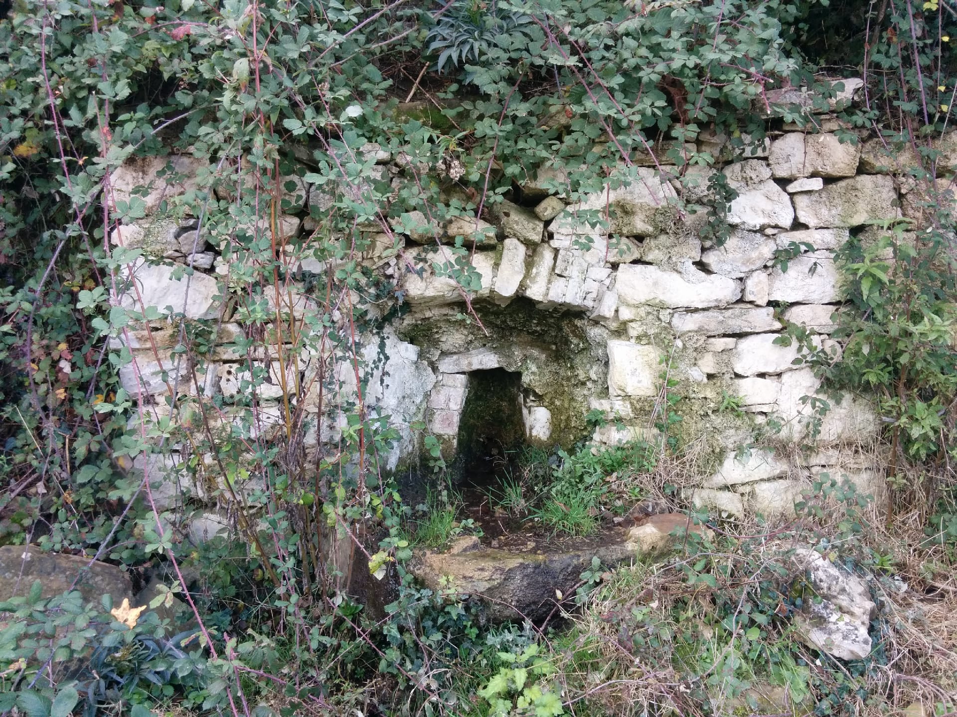 Font de l'Hort de Falgars