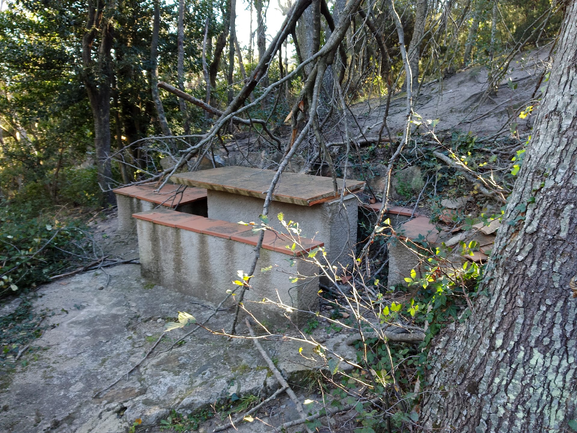 Font de la Verna