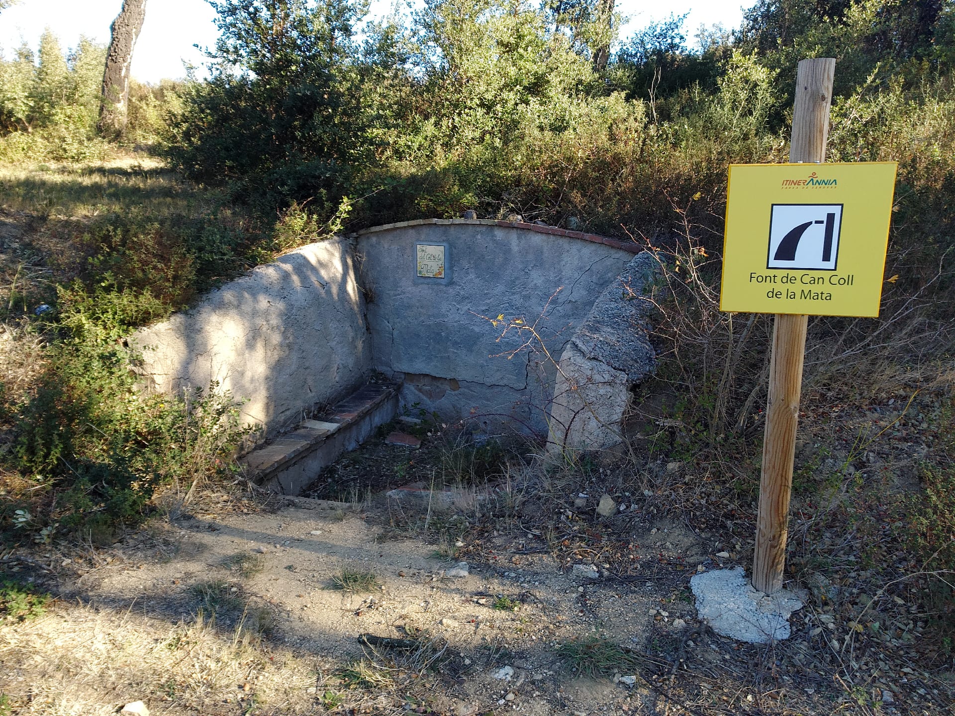 Font del Coll de la Mata