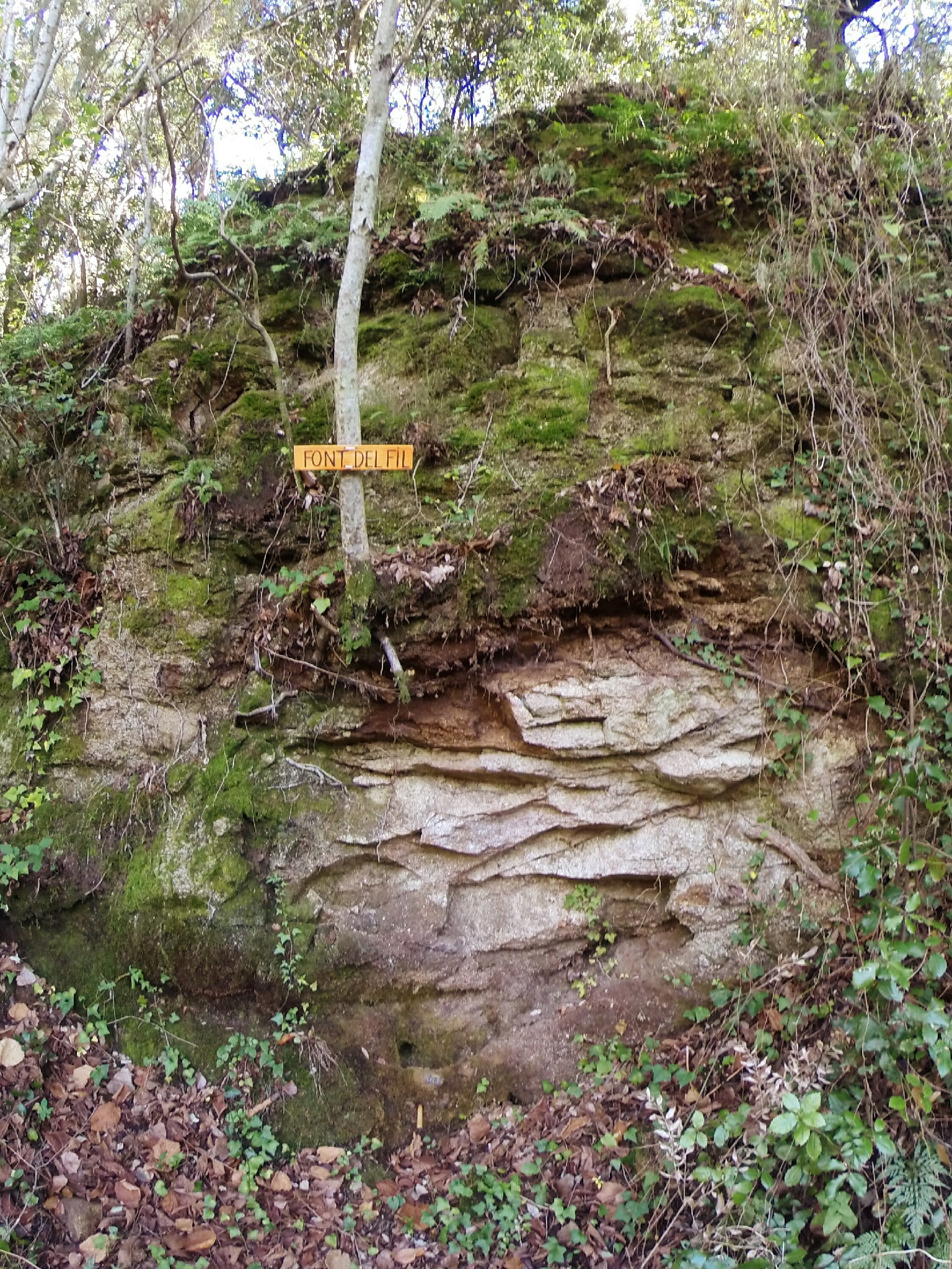 Font del Fil